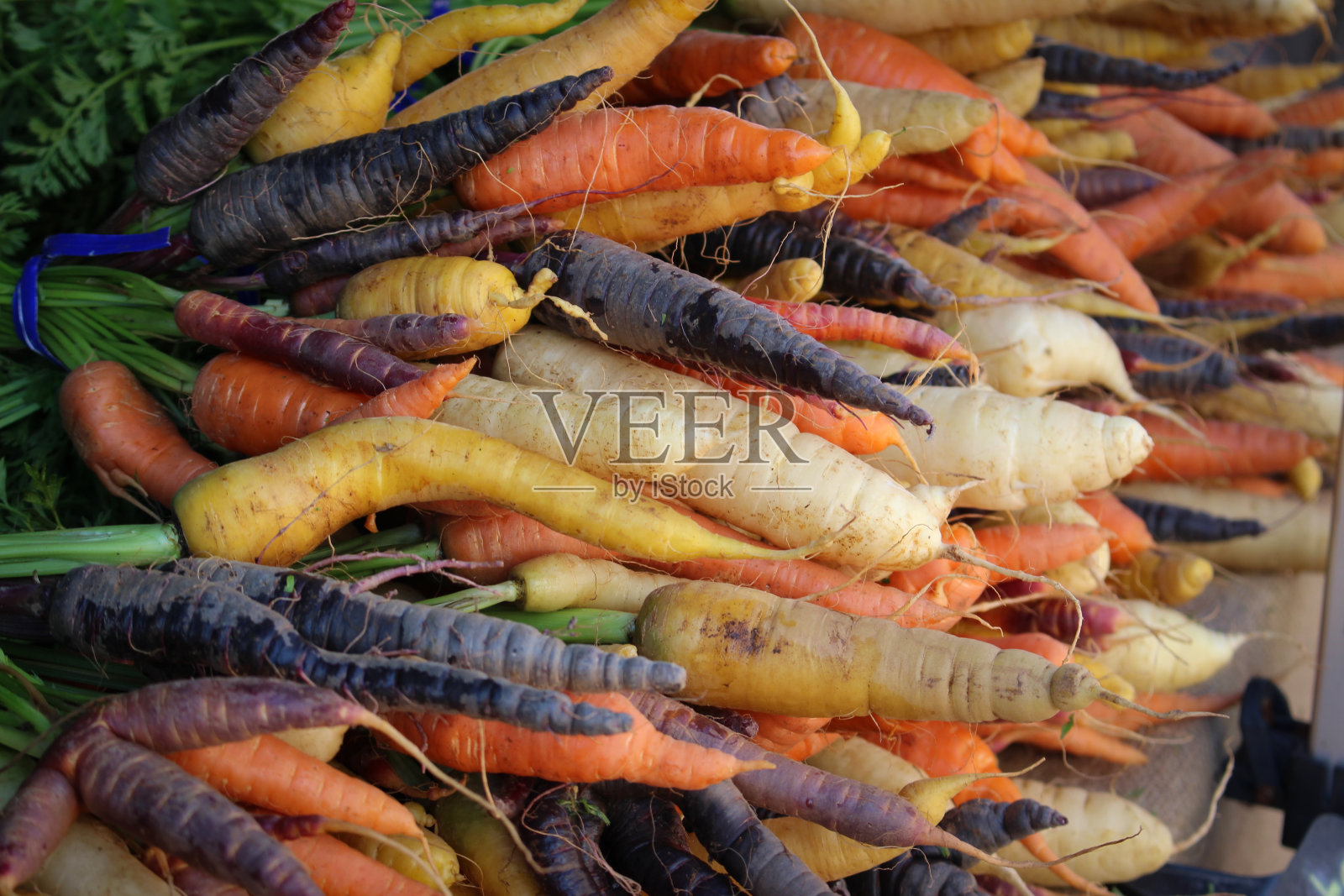 胡萝卜墙照片摄影图片