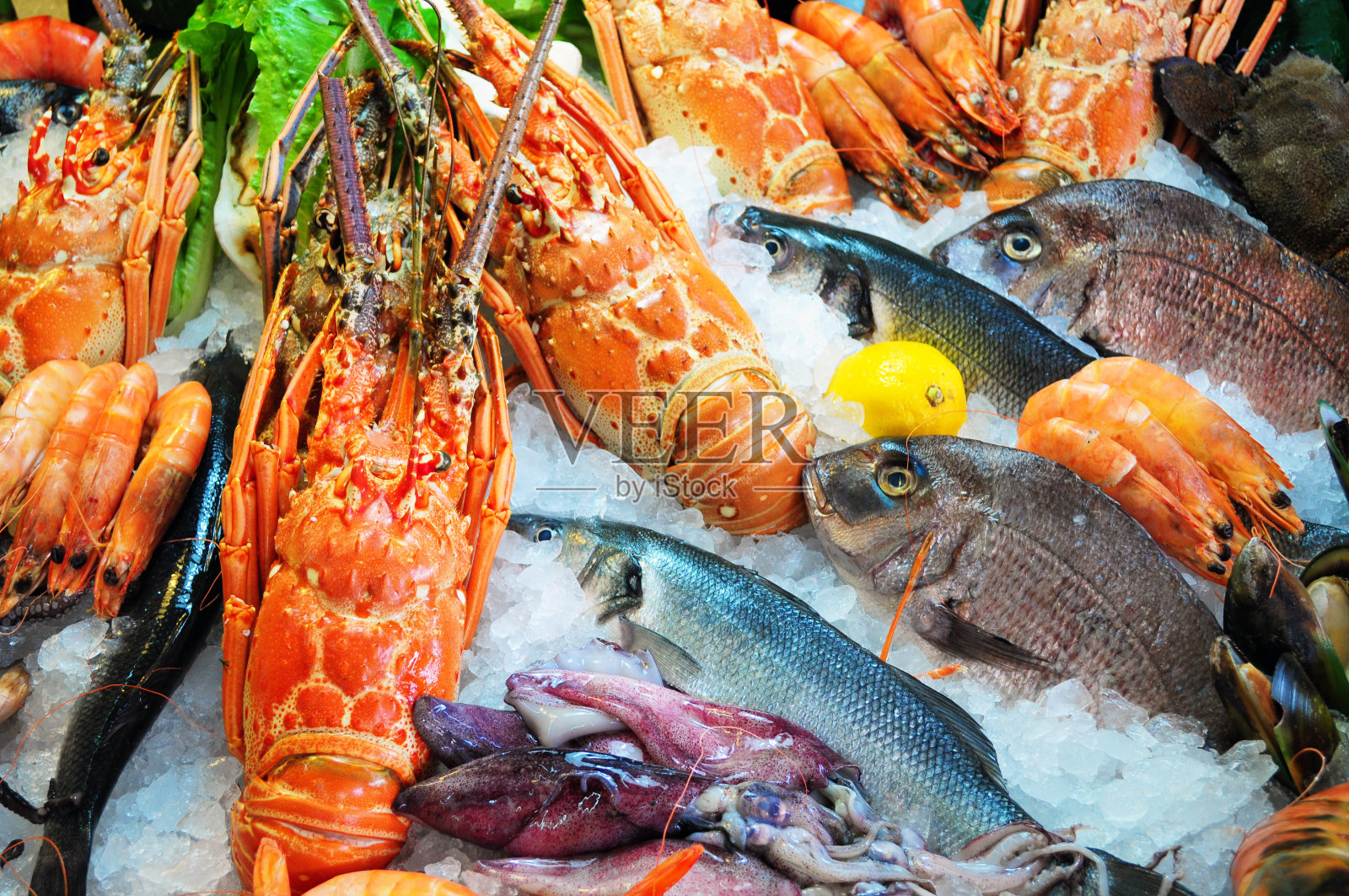 新鲜的海鲜照片摄影图片