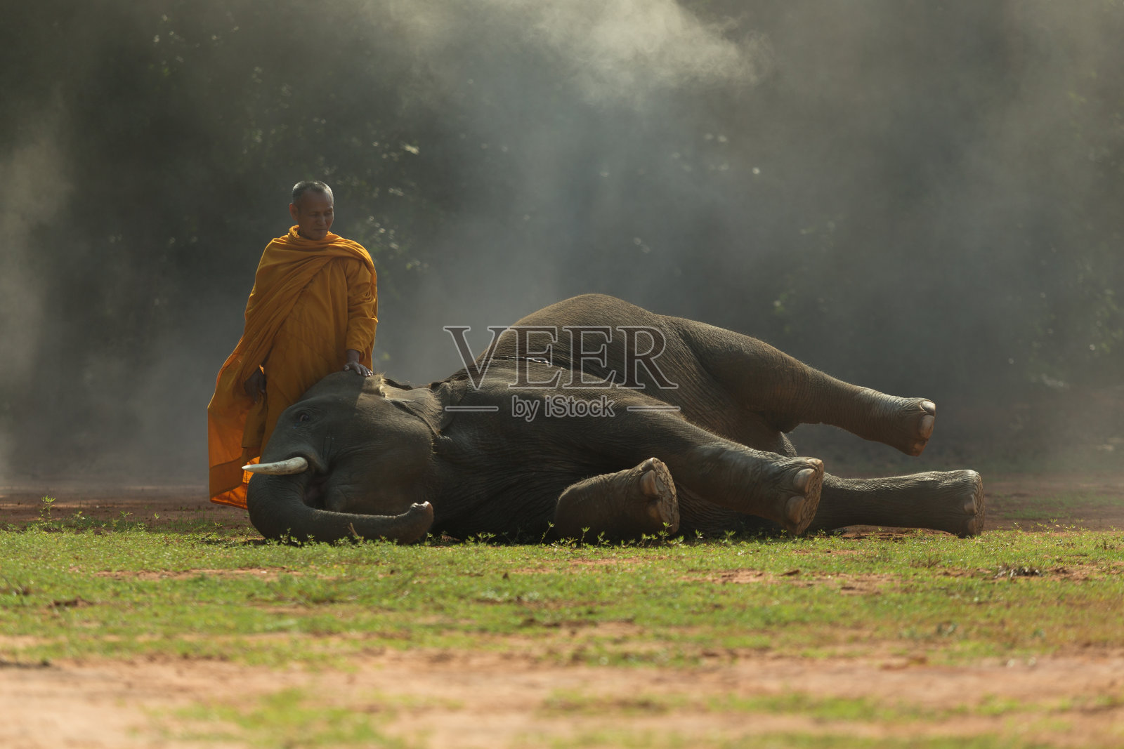 和尚和小象照片摄影图片
