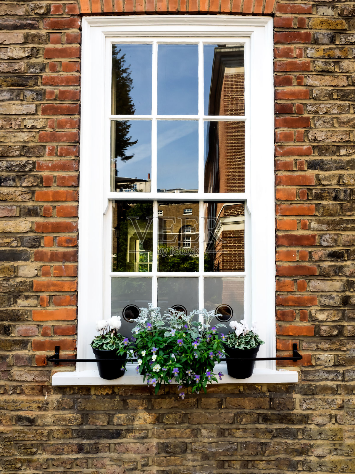 伦敦格林威治村的英国家庭照片摄影图片