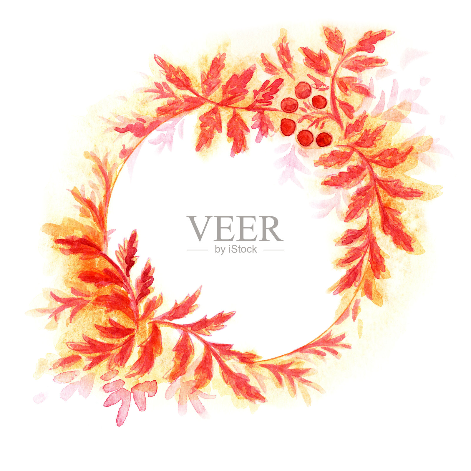 ashberry串花环插画图片素材