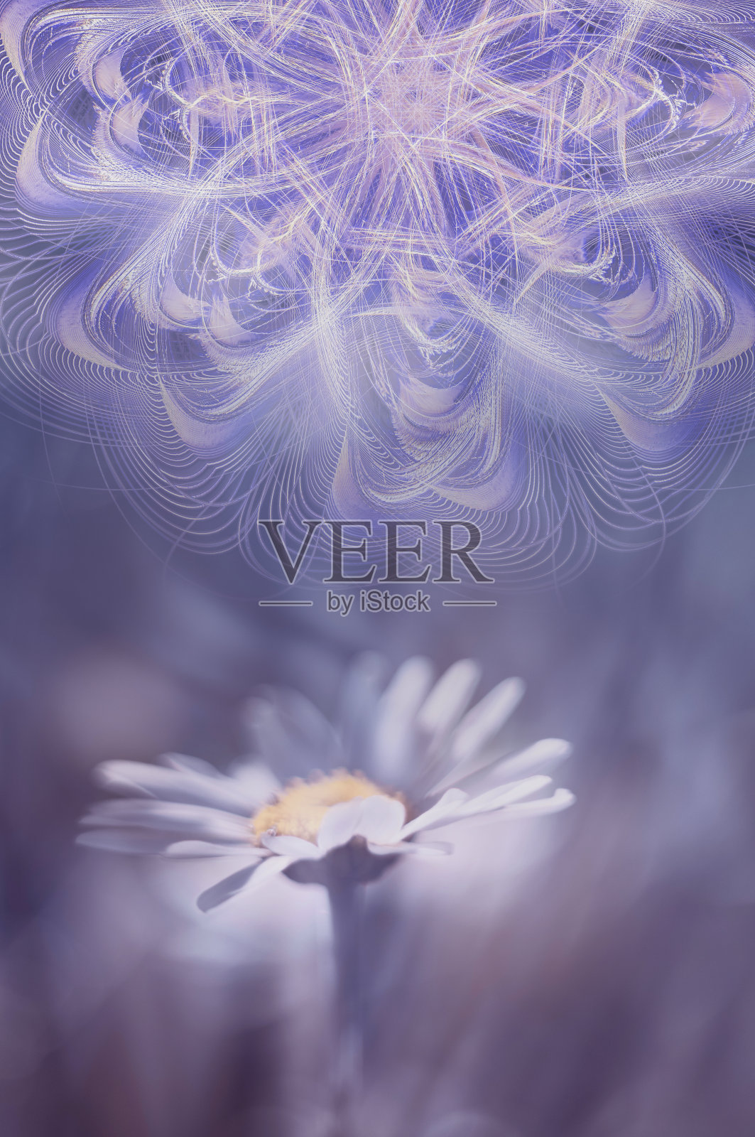 魔法花精致的超现实主义背景在宁静的色调。照片摄影图片