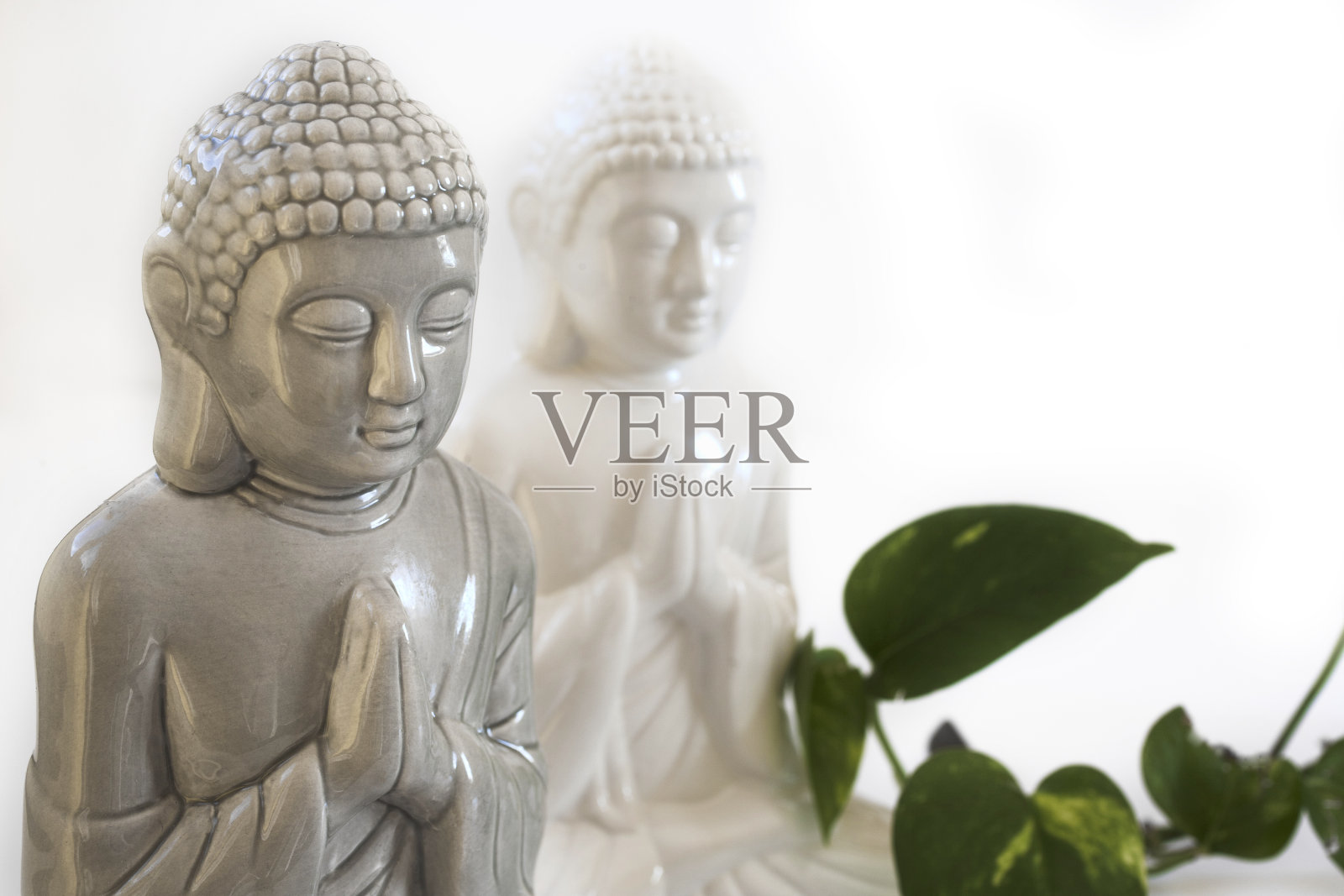 佛照片摄影图片