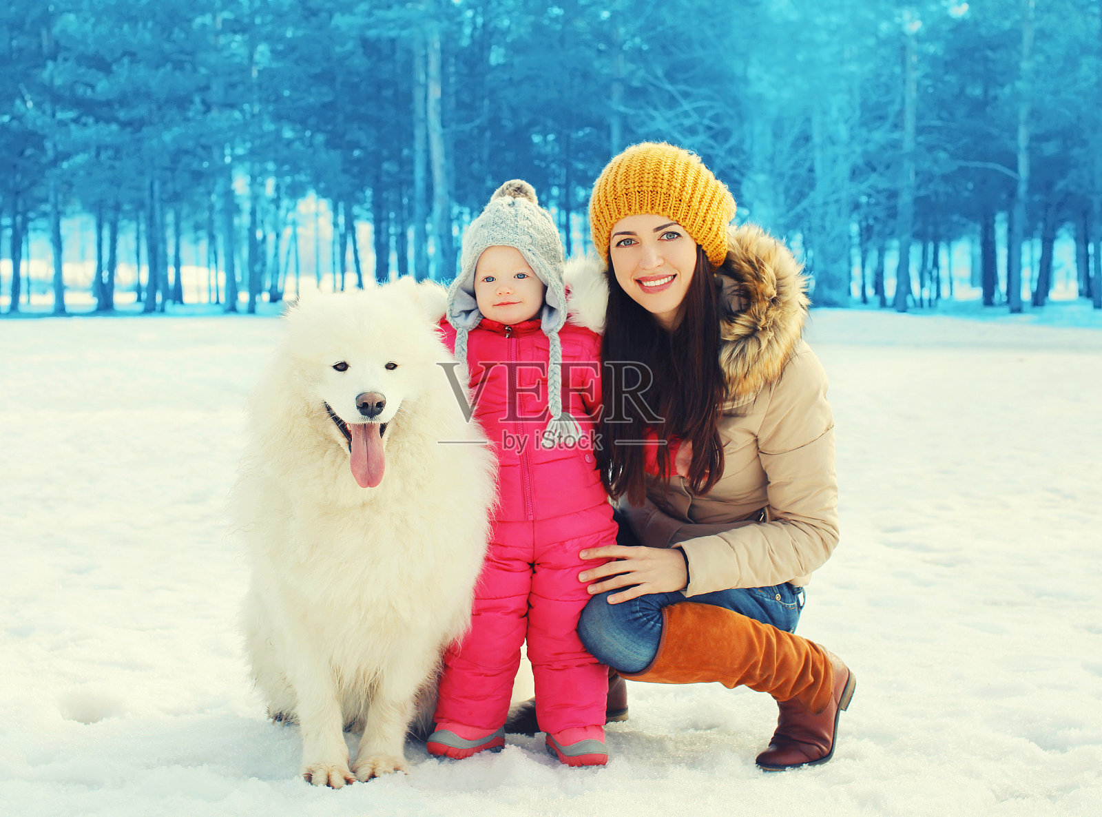 家庭在冬天，母亲和孩子与白色萨摩耶狗照片摄影图片