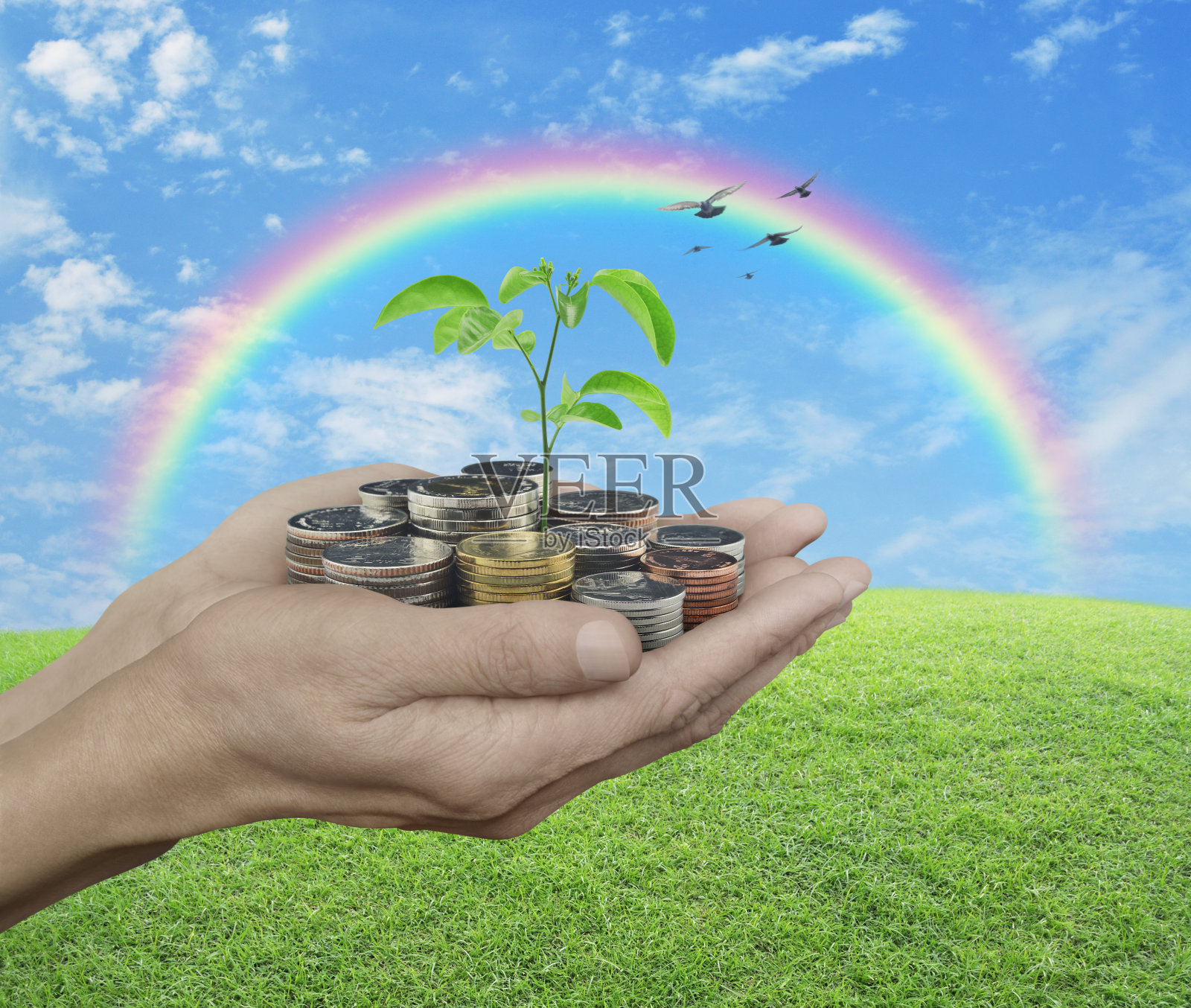 生态投资理念照片摄影图片