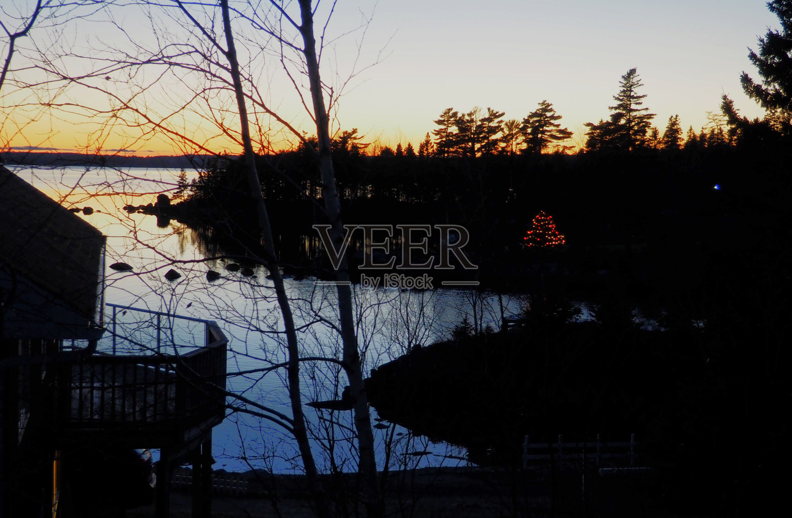 圣诞树照片摄影图片