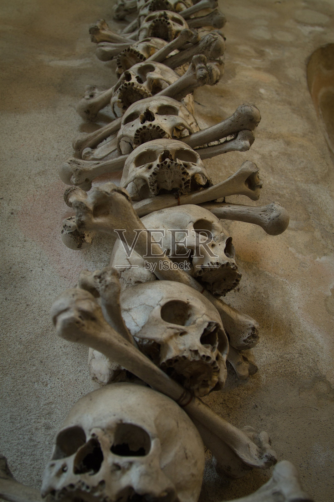 骨罐。照片摄影图片