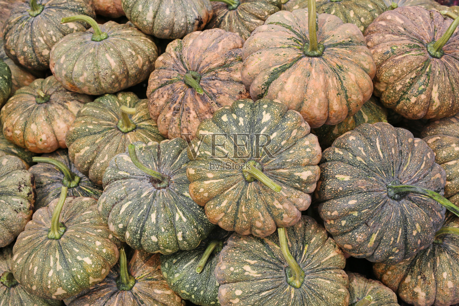 南瓜的背景照片摄影图片