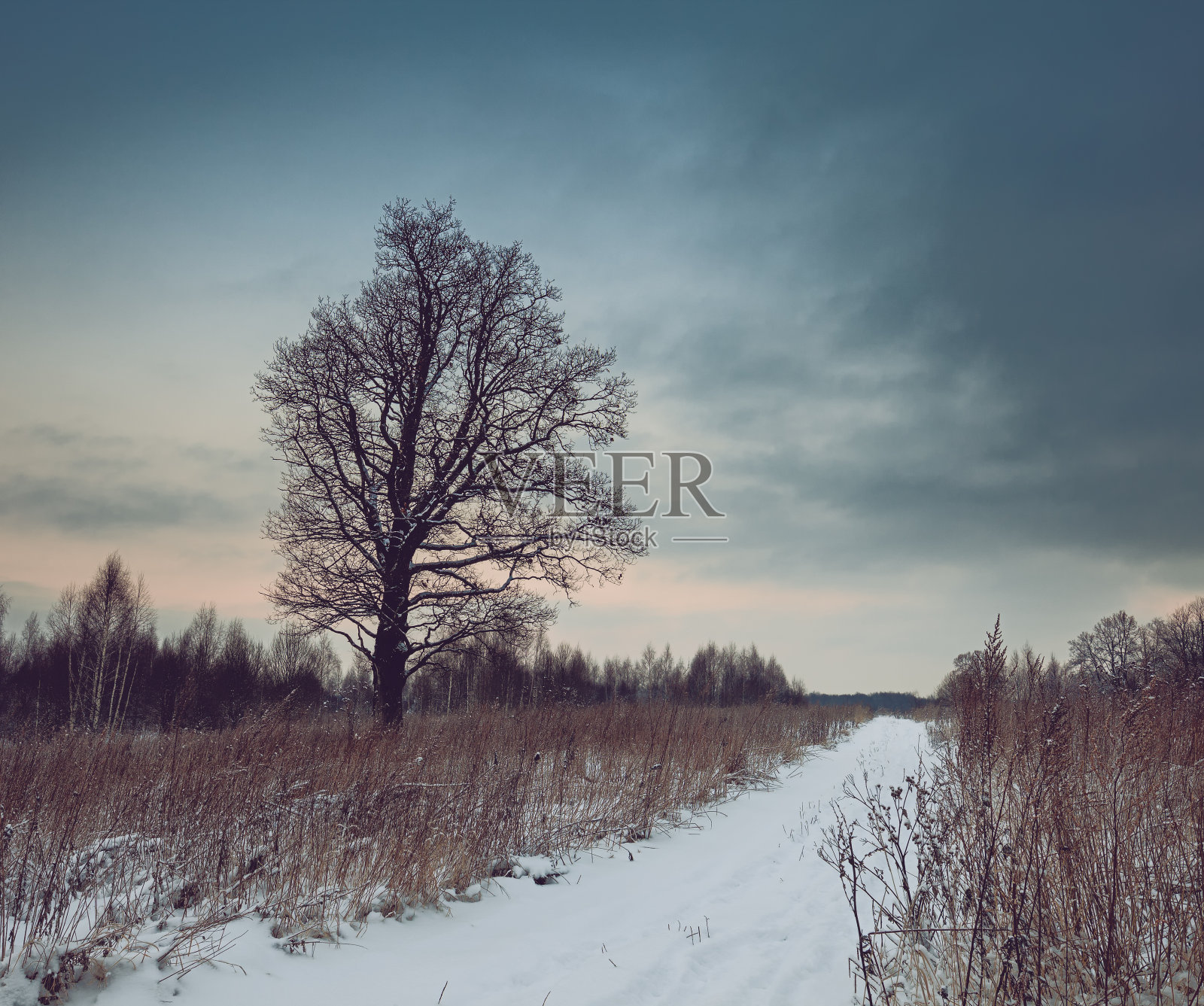 冬天的风景照片摄影图片