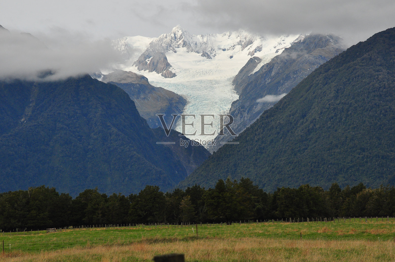 新西兰的福克斯冰川照片摄影图片