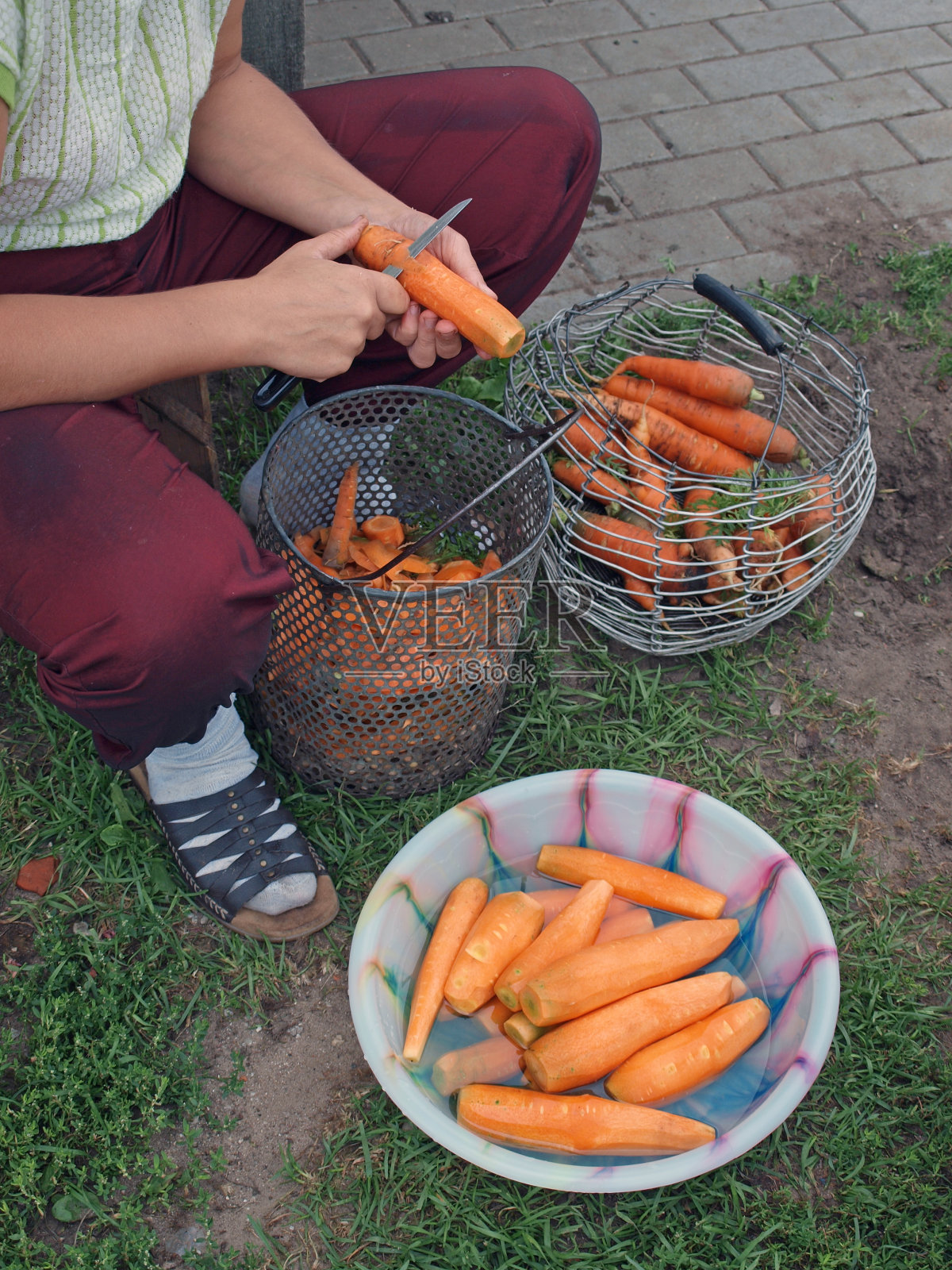 看起来像胡萝卜照片摄影图片
