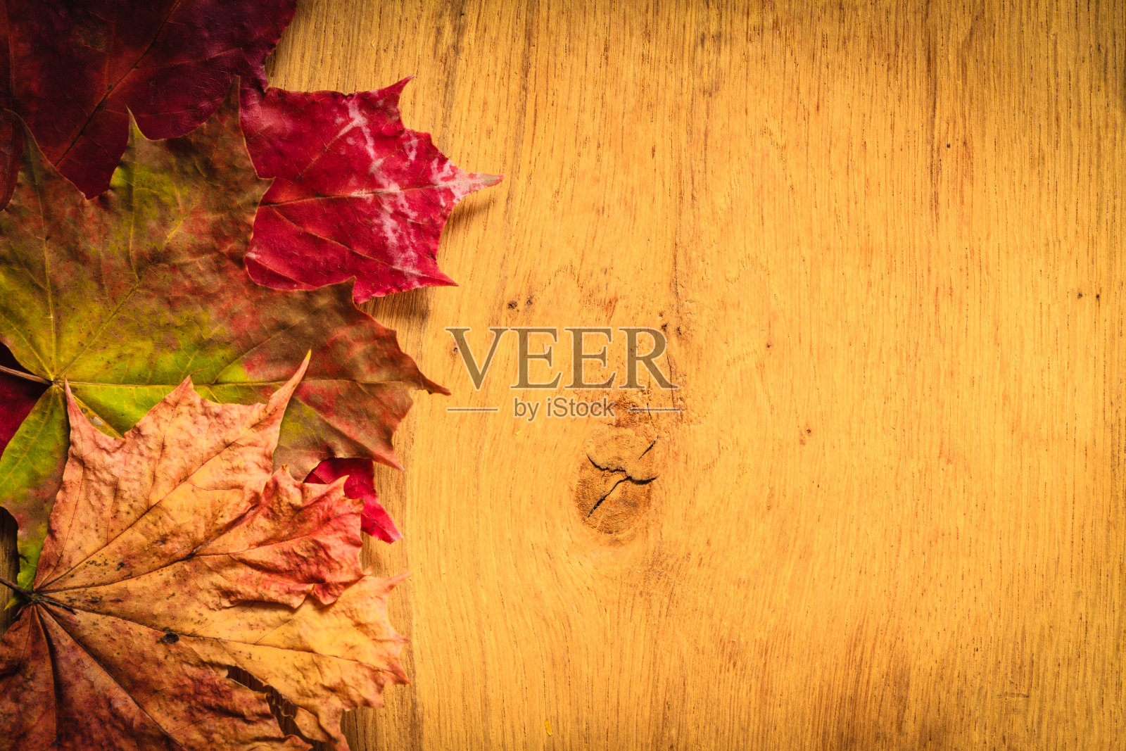 木制背景上的秋叶照片摄影图片