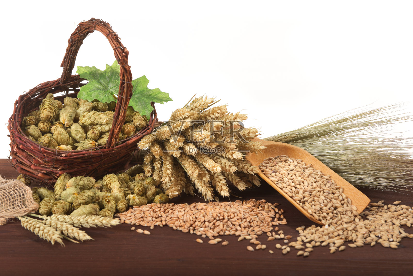 啤酒原料照片摄影图片