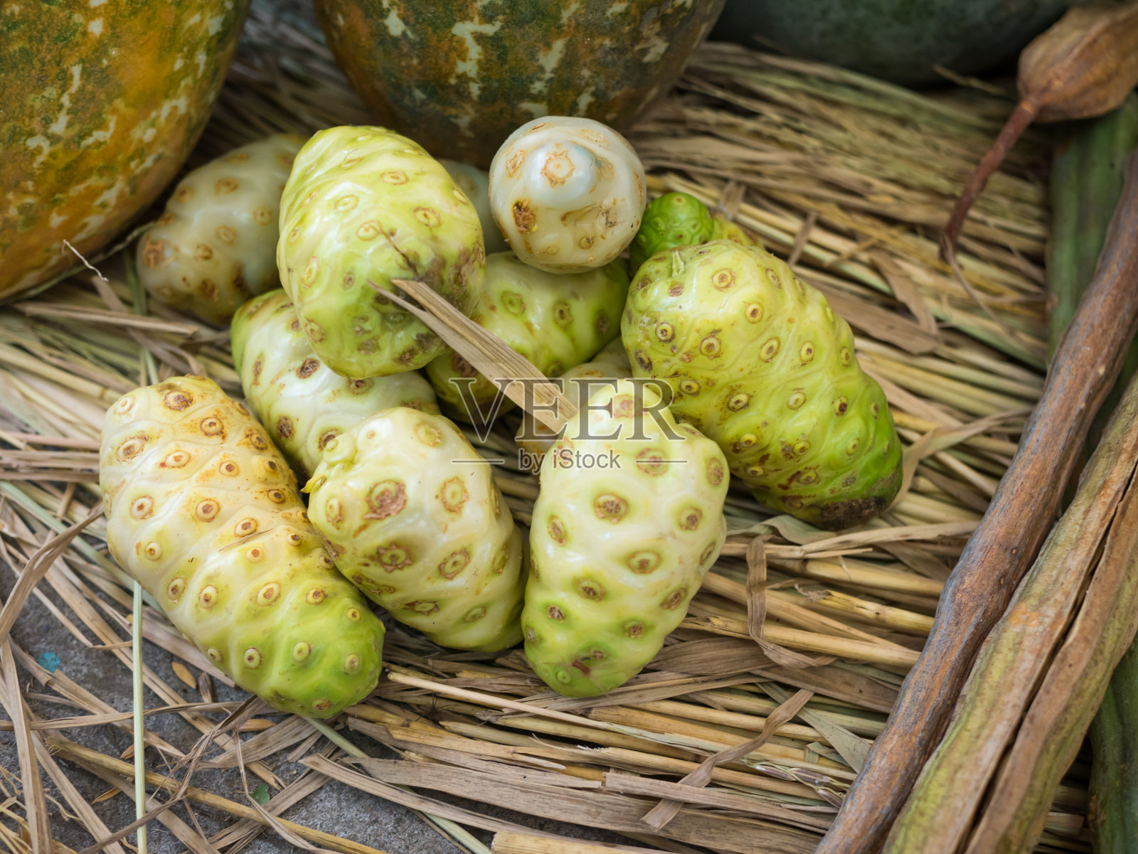 特写莫林达西特里福利亚亚麻照片摄影图片