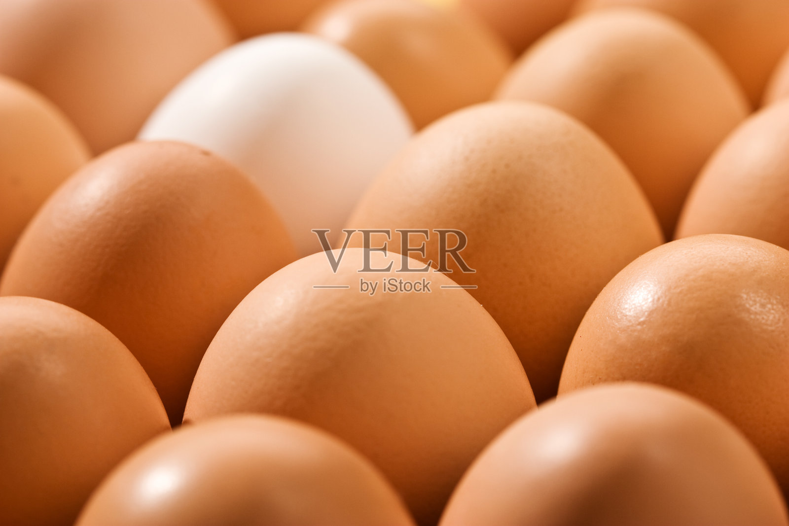 蛋照片摄影图片