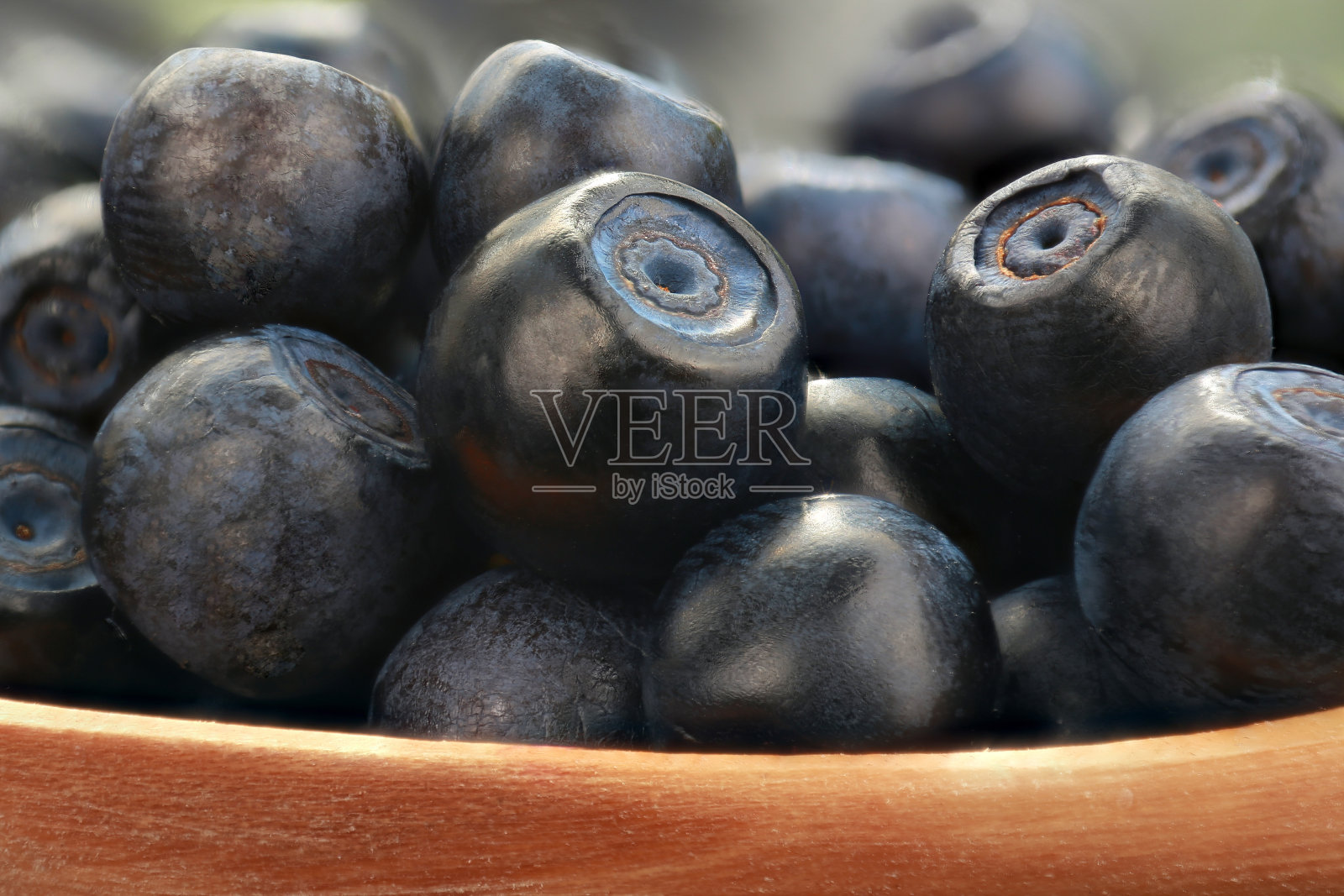 蓝莓照片摄影图片