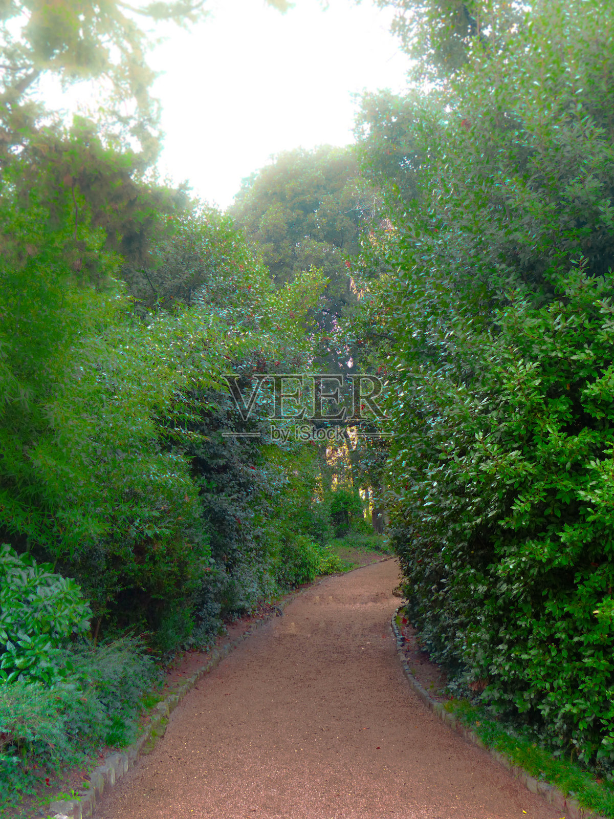 天堂之路照片摄影图片