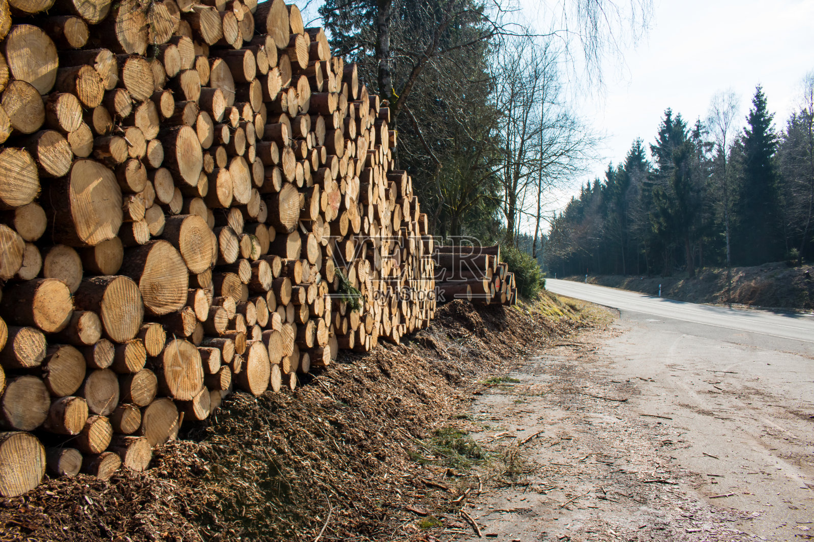 森林道路两旁是成堆的木材照片摄影图片