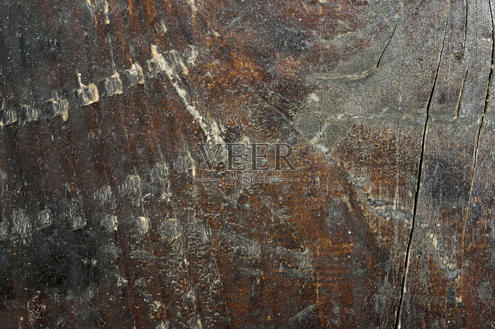 垃圾座椅5小零件的微距拍摄照片摄影图片