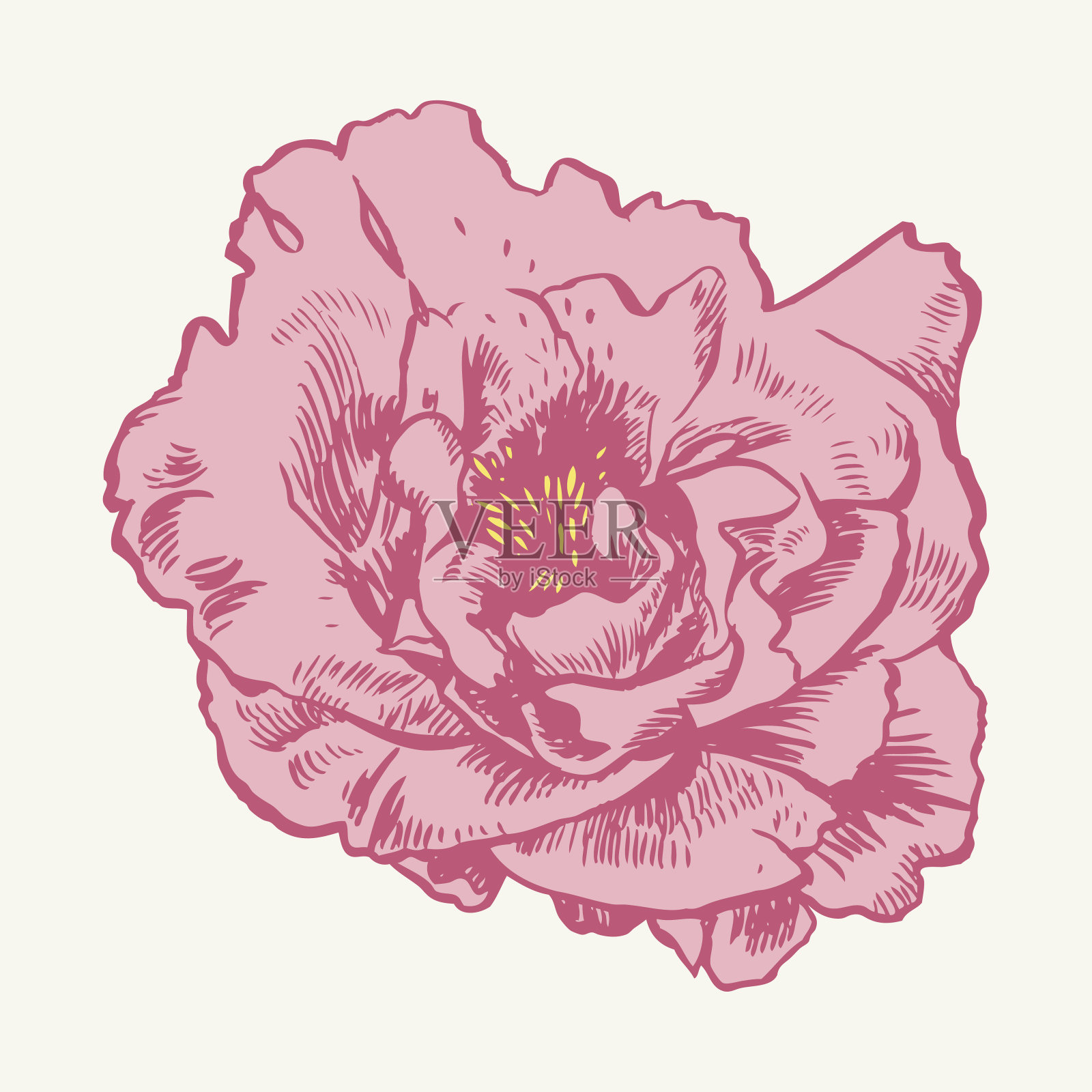 手画牡丹。矢量图形的花。卡片的装饰背景插画图片素材