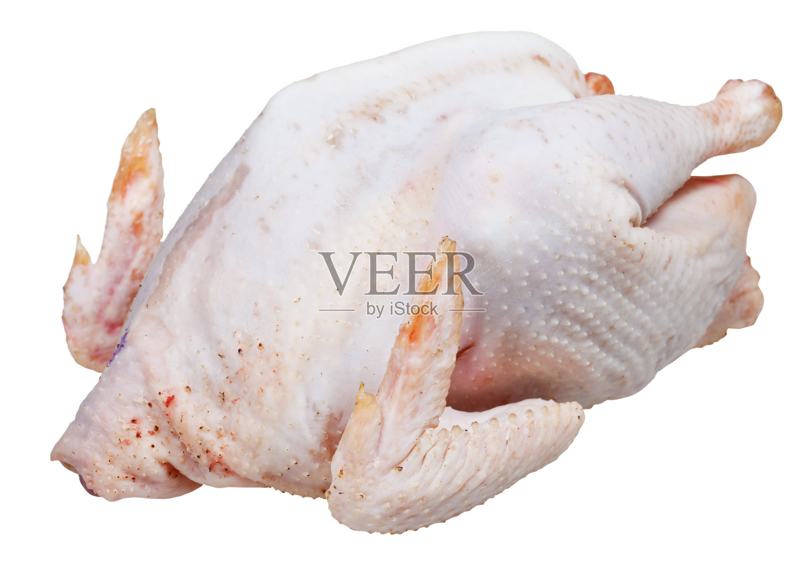 生汤鸡孤立上白照片摄影图片