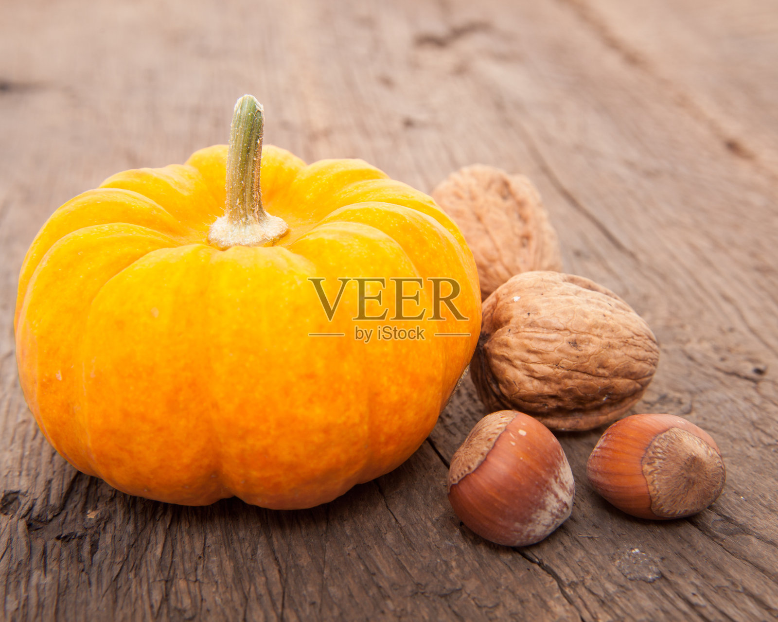 南瓜，核桃和榛子照片摄影图片