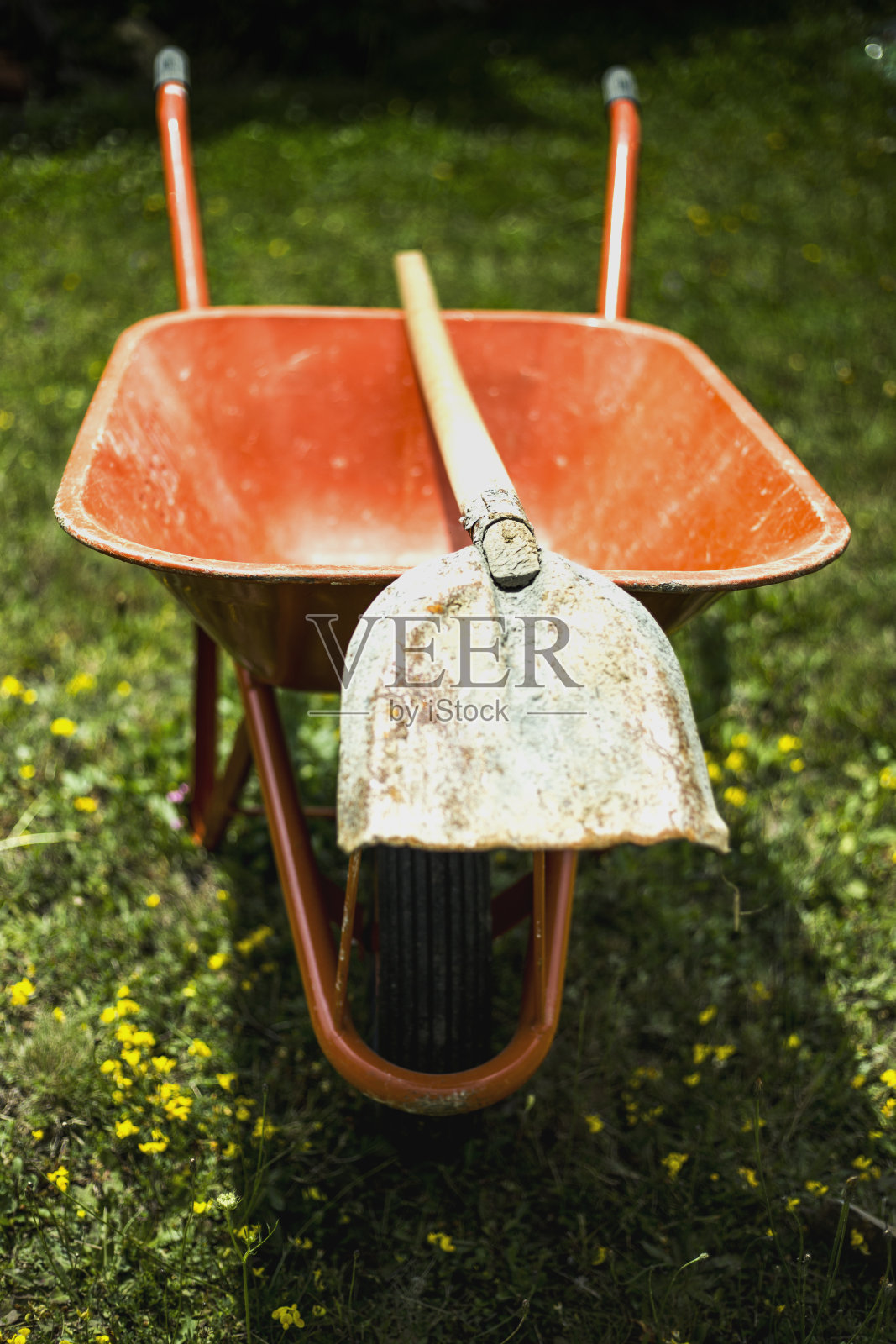 手推车和铲子在花园里照片摄影图片