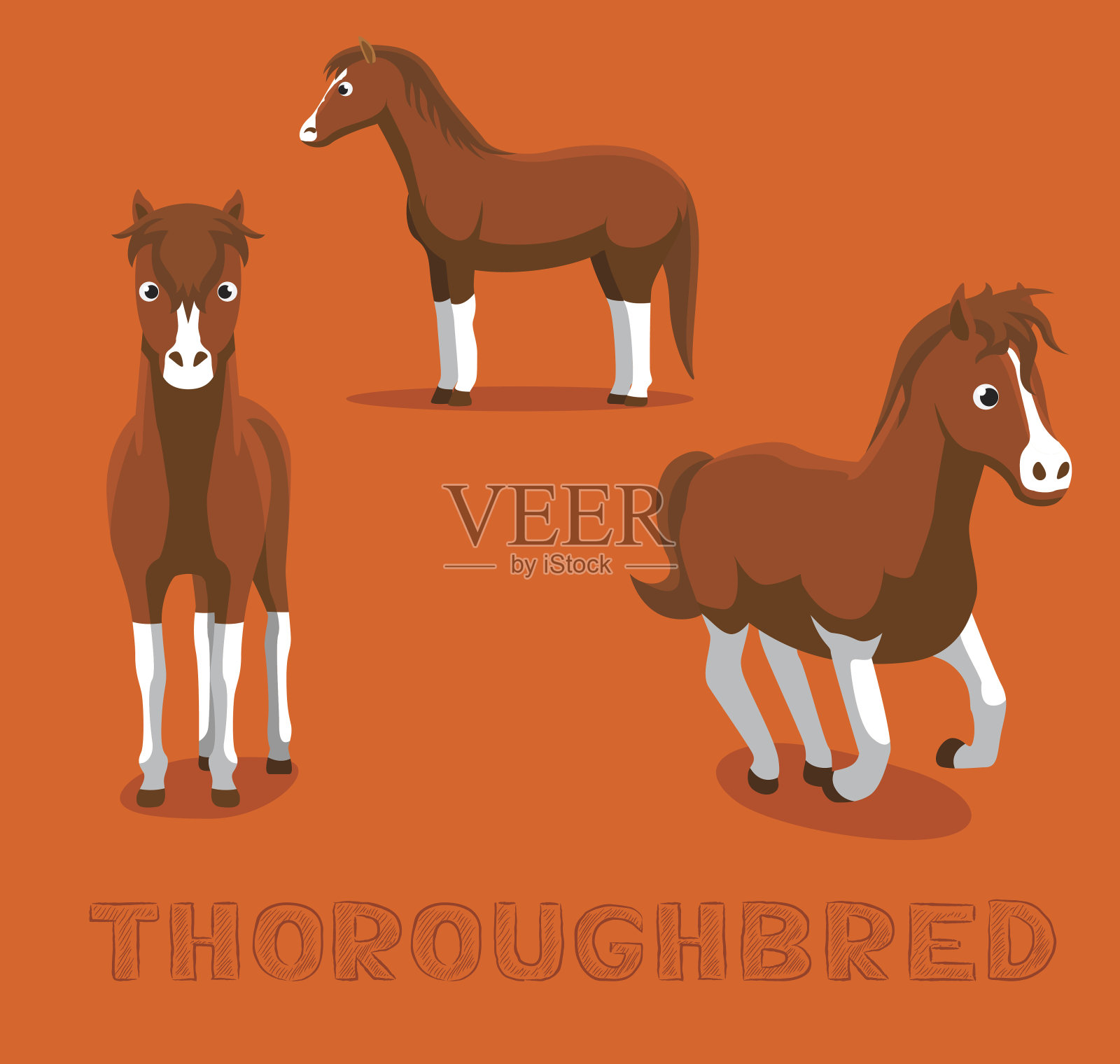 马纯种马卡通矢量插图插画图片素材