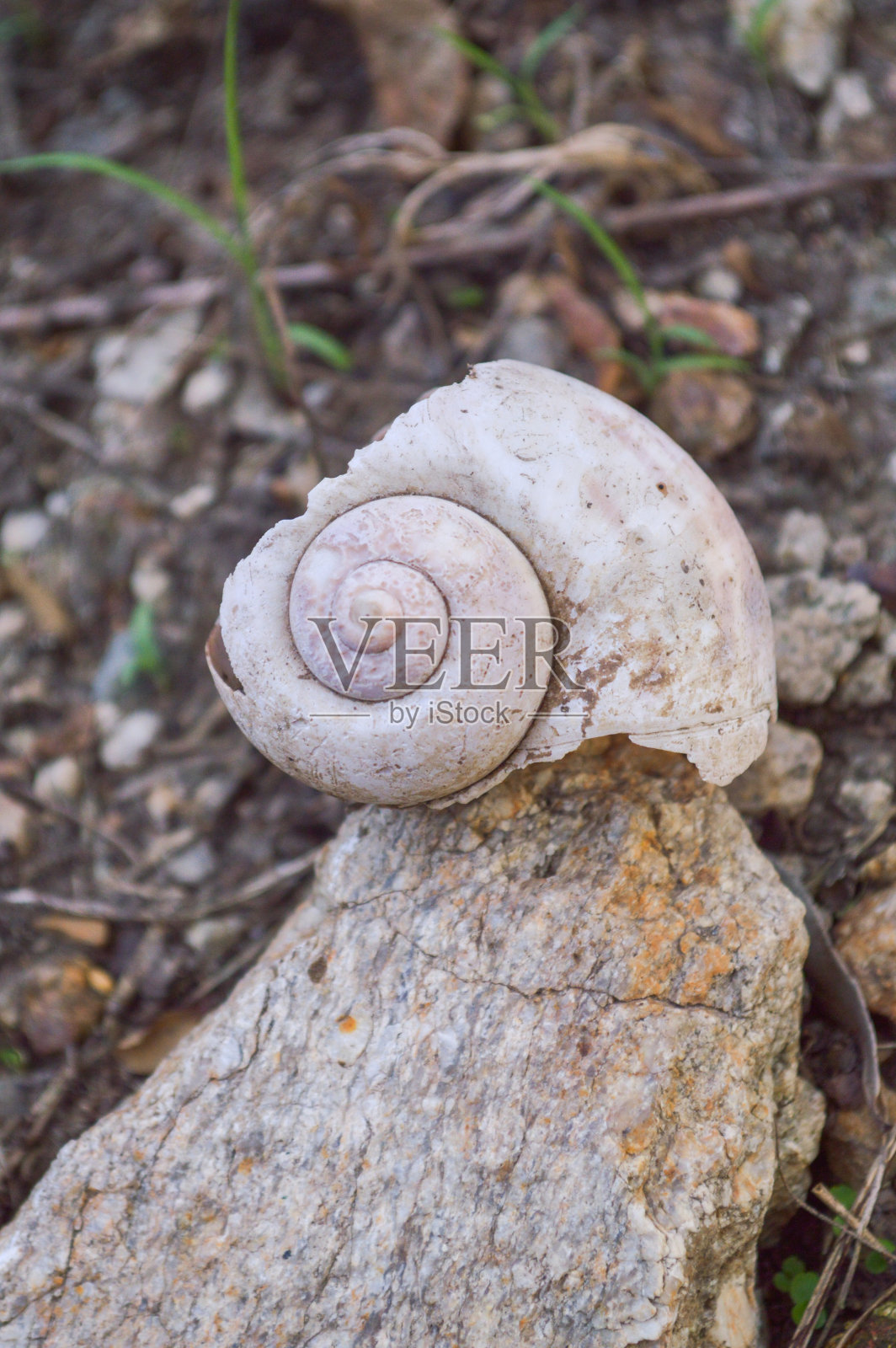 地上有苹果钉的沟槽照片摄影图片