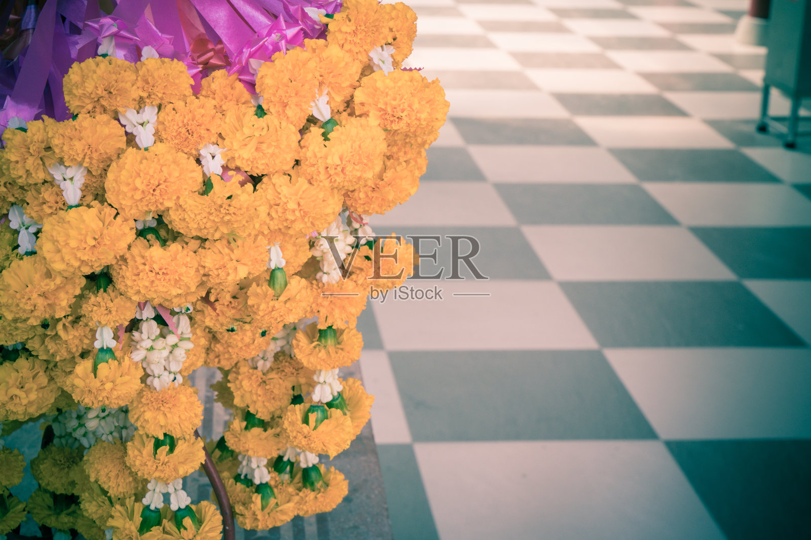 黄花Galant复古色照片摄影图片