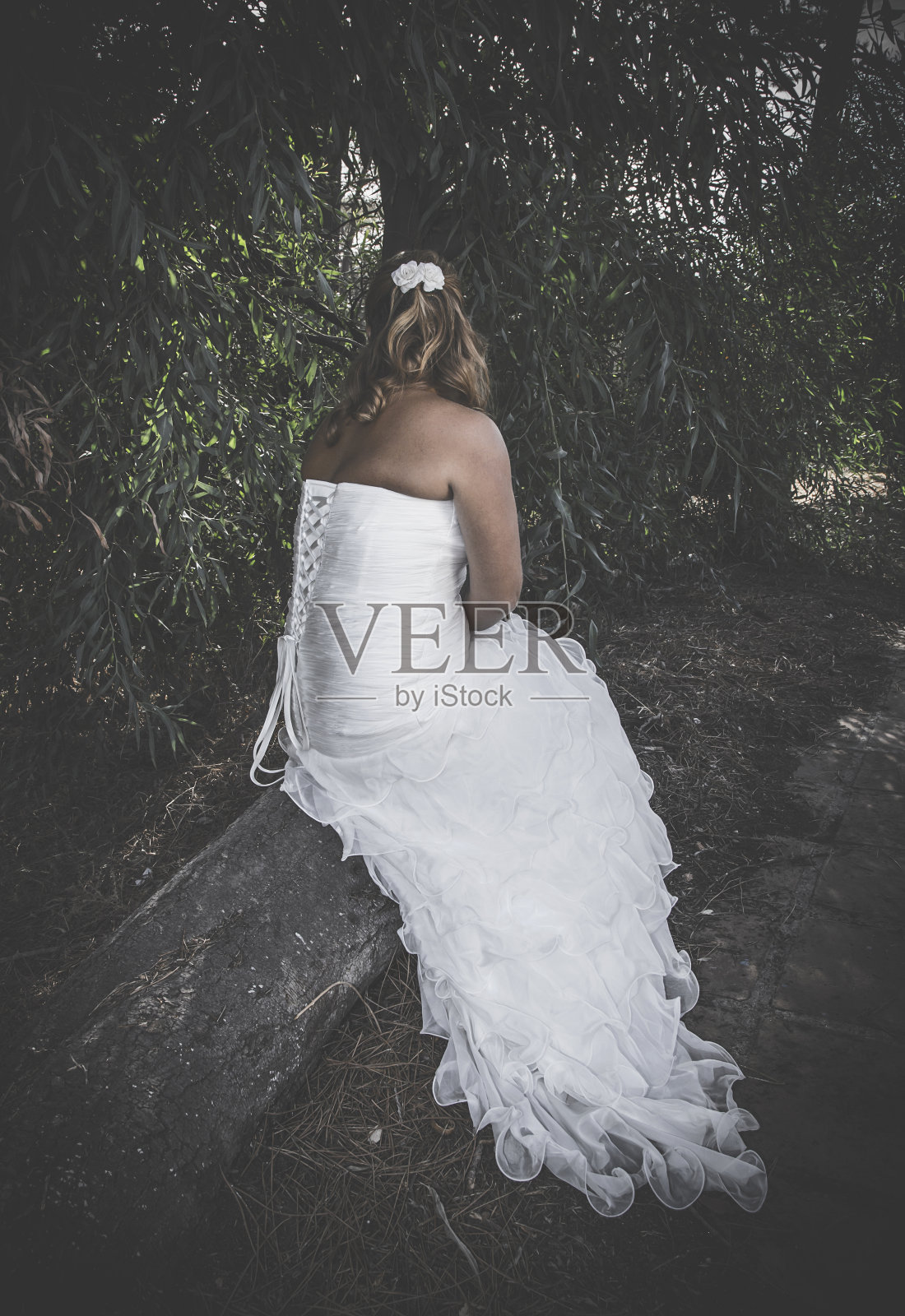 在海上和森林里举行婚礼照片摄影图片