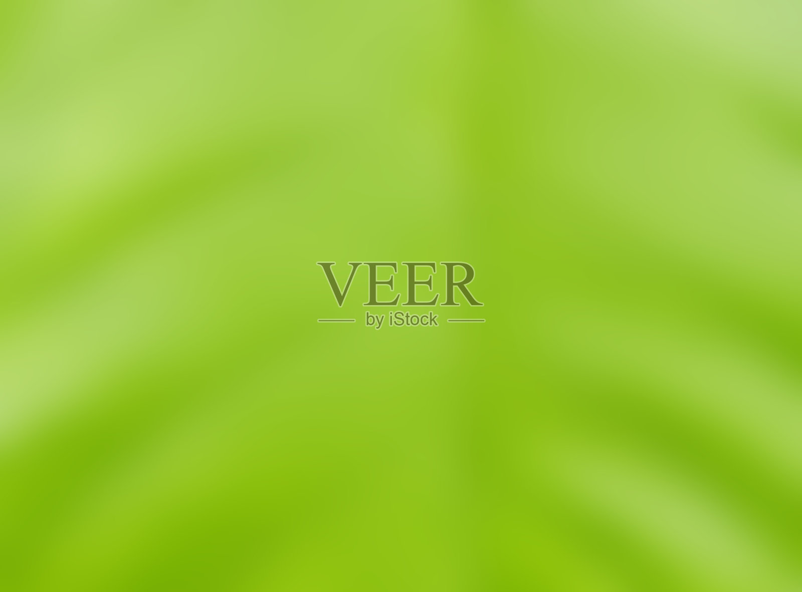 叶结构照片摄影图片