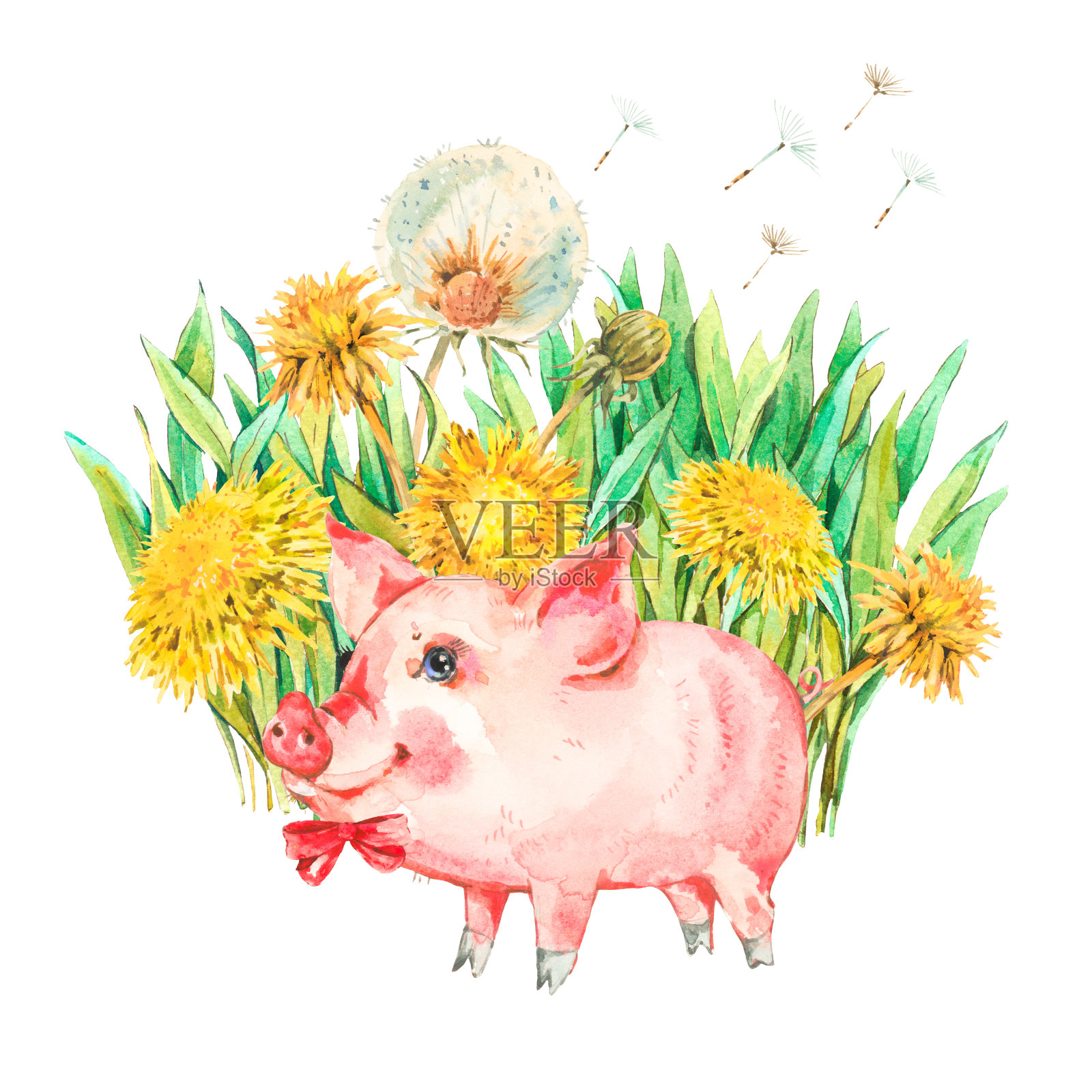 可爱的水彩猪和春天的花朵插画图片素材