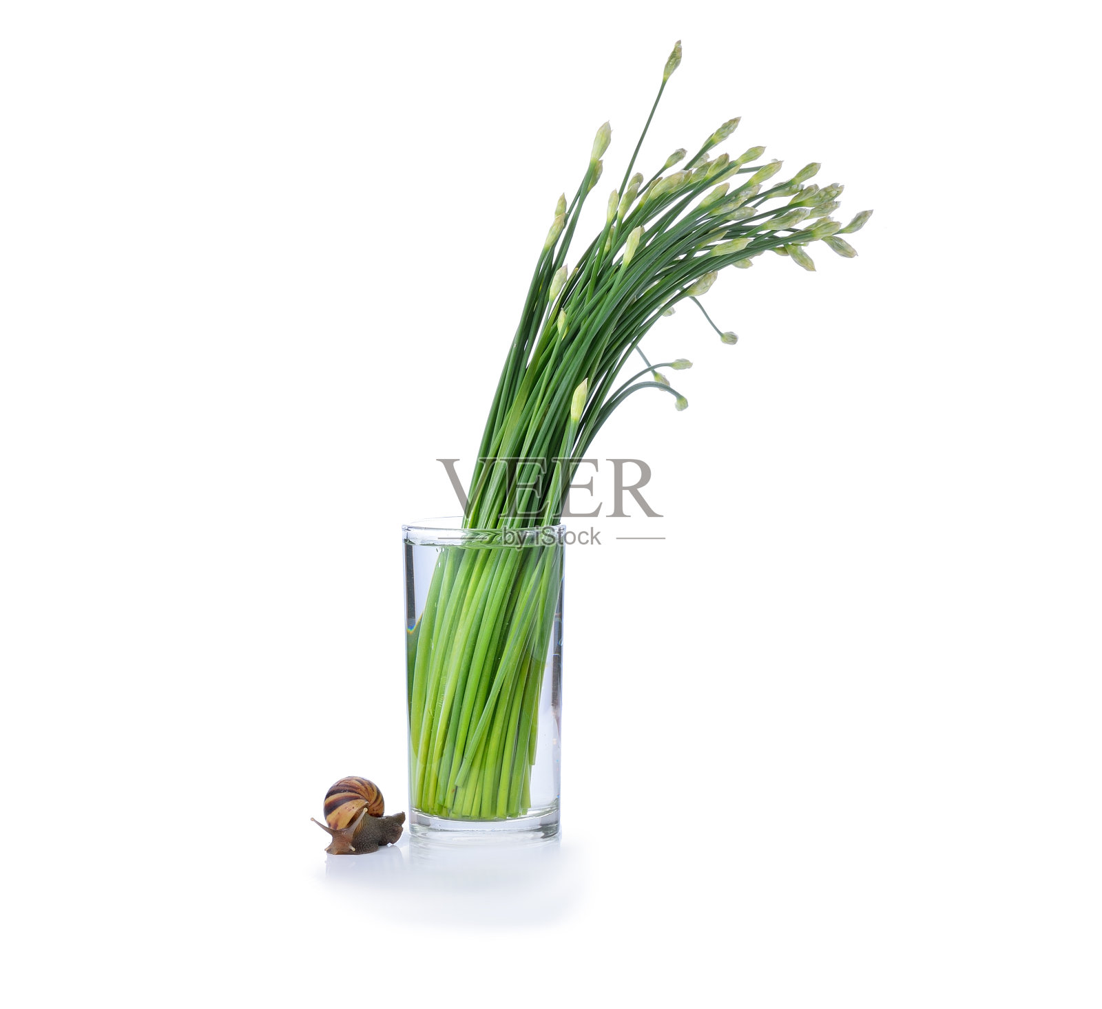 玻璃上的韭菜，白色背景照片摄影图片
