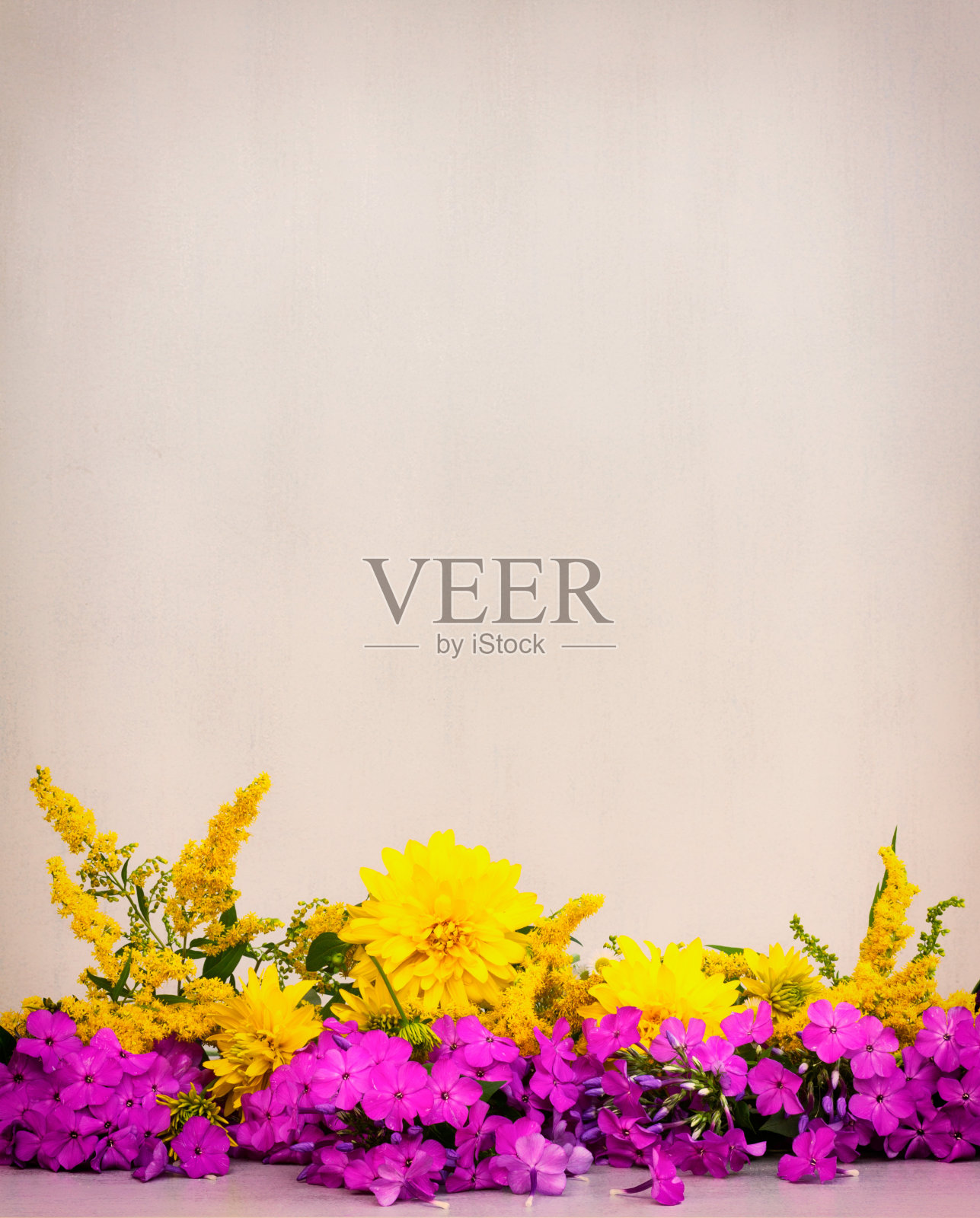 花菊花，夹竹桃和秋麒麟在粉红色的背景照片摄影图片