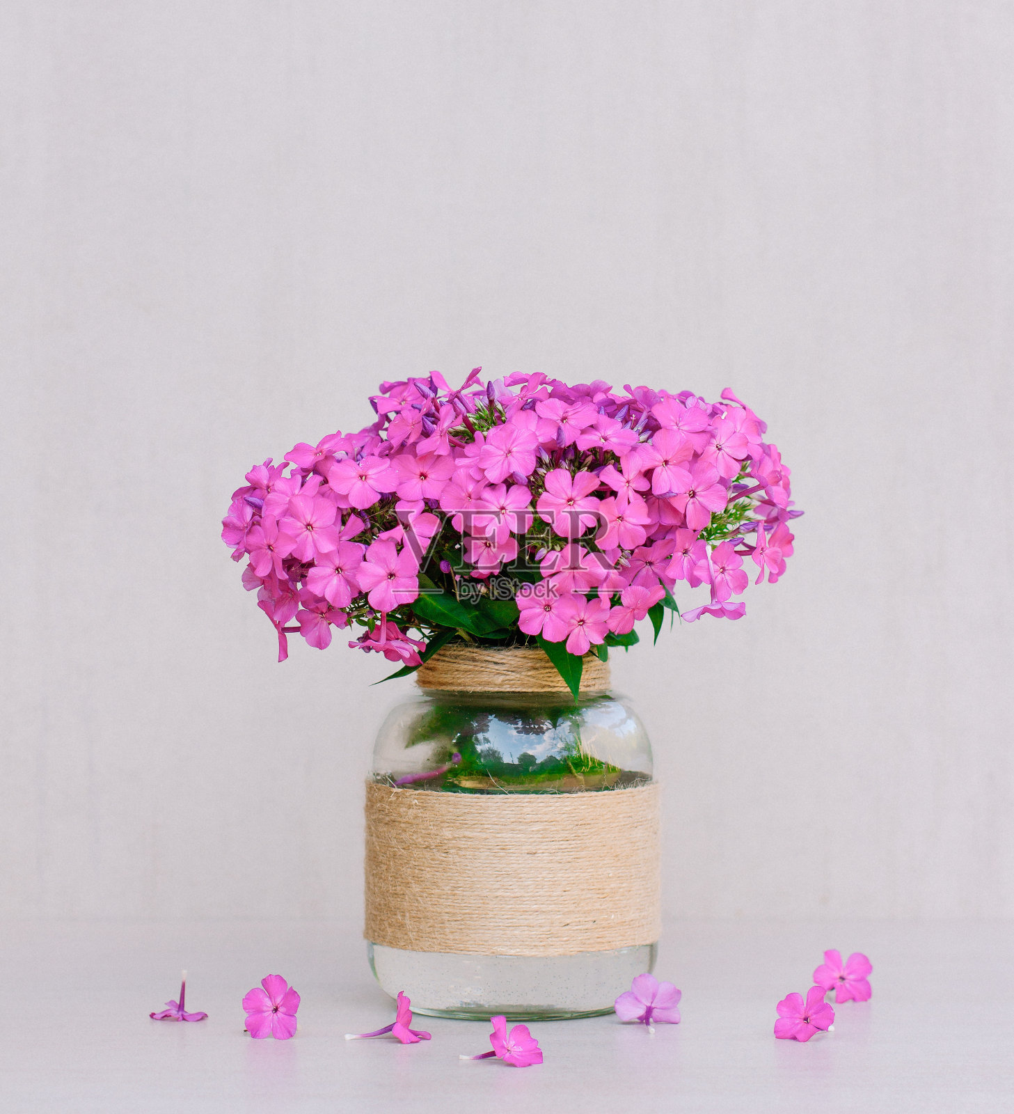 花瓶里的福禄克斯花束照片摄影图片