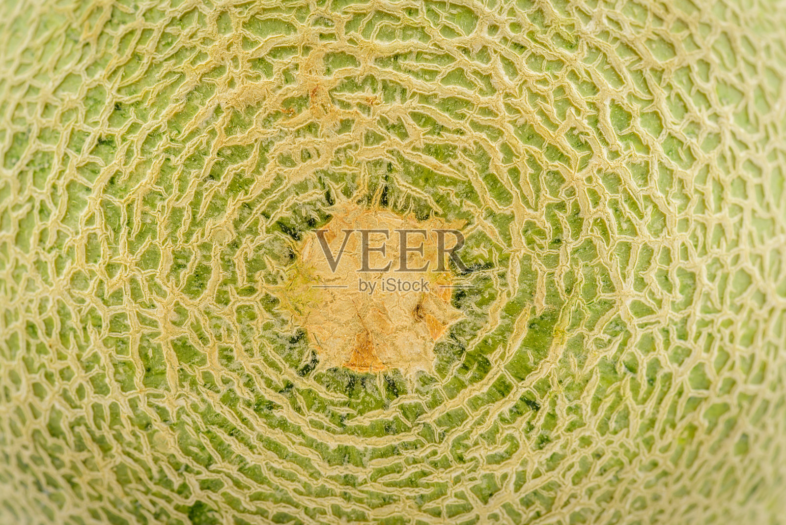 瓜皮纹理背景。照片摄影图片