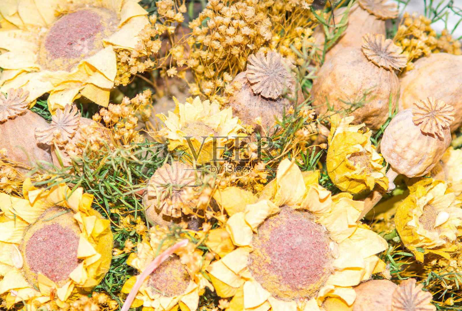 一束干花和罂粟花照片摄影图片