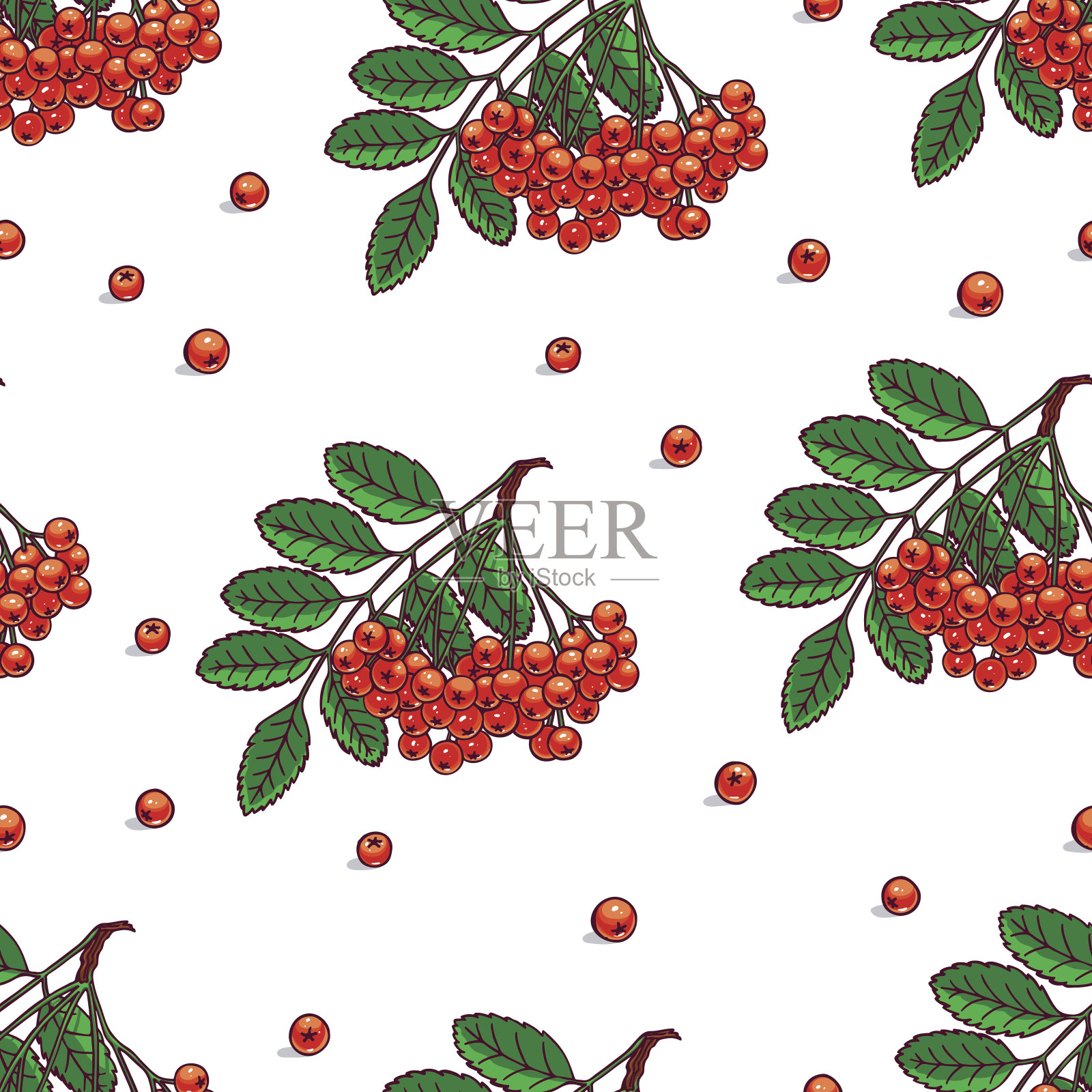 无缝的成熟的罗文插画图片素材