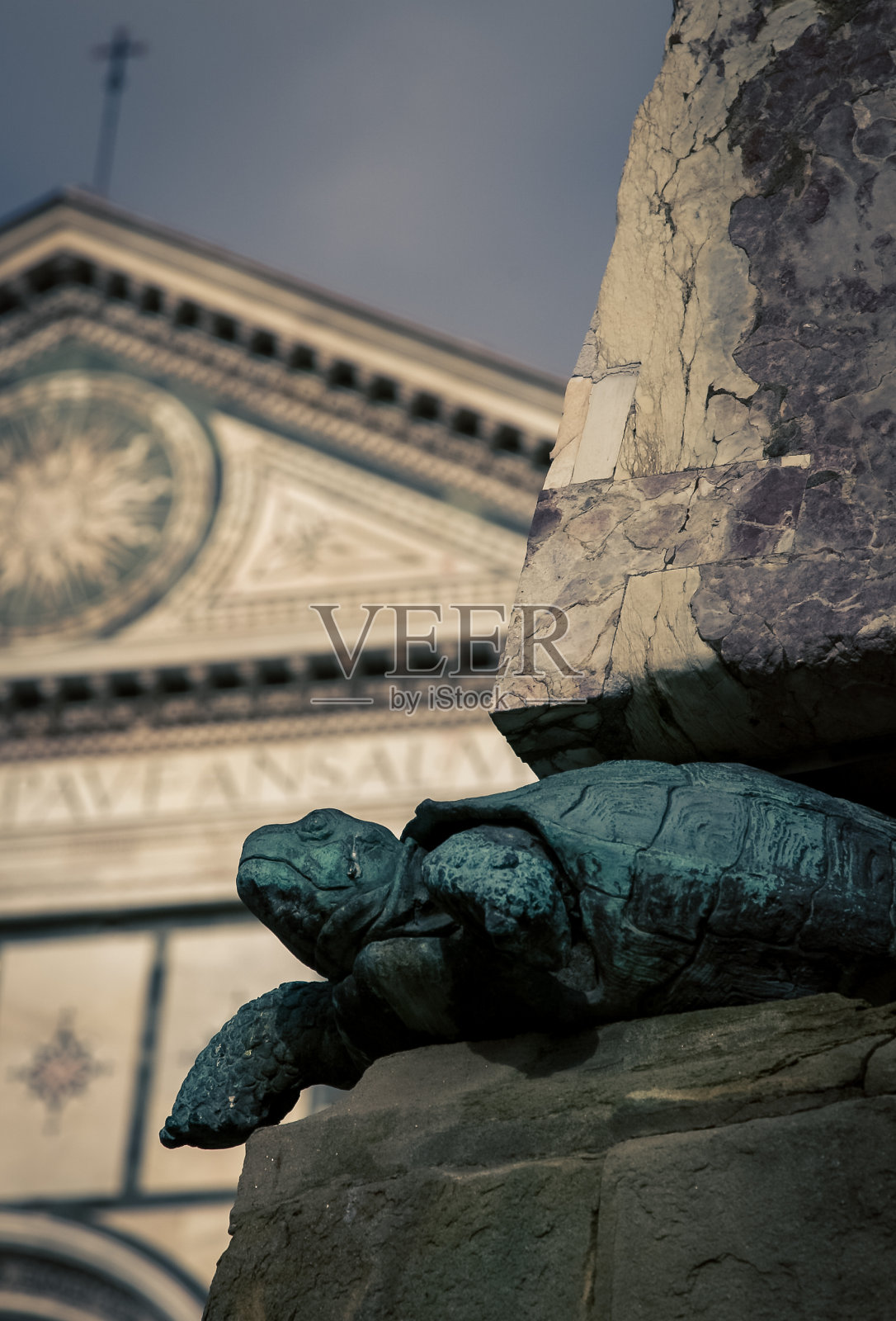 意大利佛罗伦萨的海龟照片摄影图片