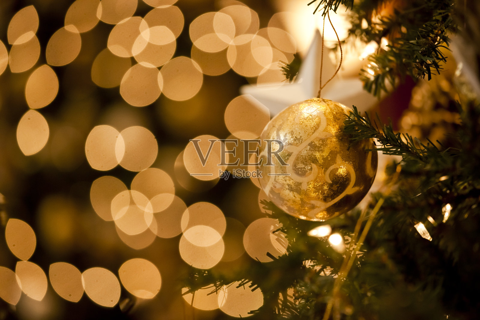 圣诞树图片，图片照片摄影图片