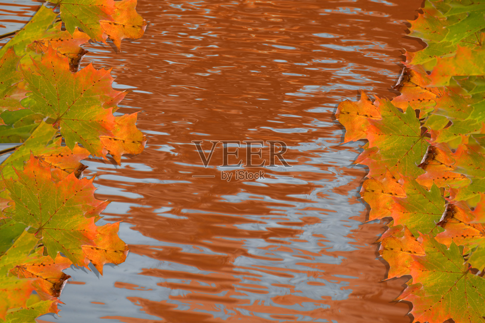 橙色的水背景与明亮的枫叶照片摄影图片