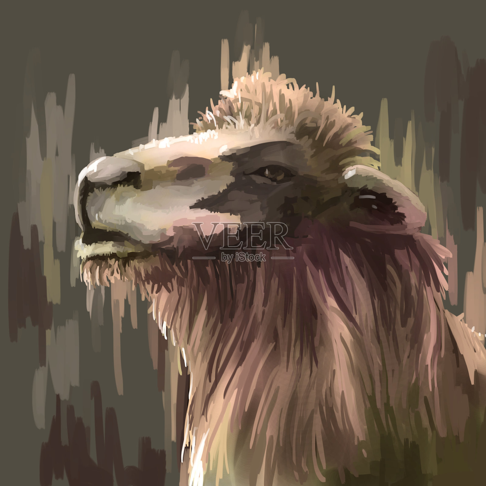 插图数字绘画动物骆驼插画图片素材