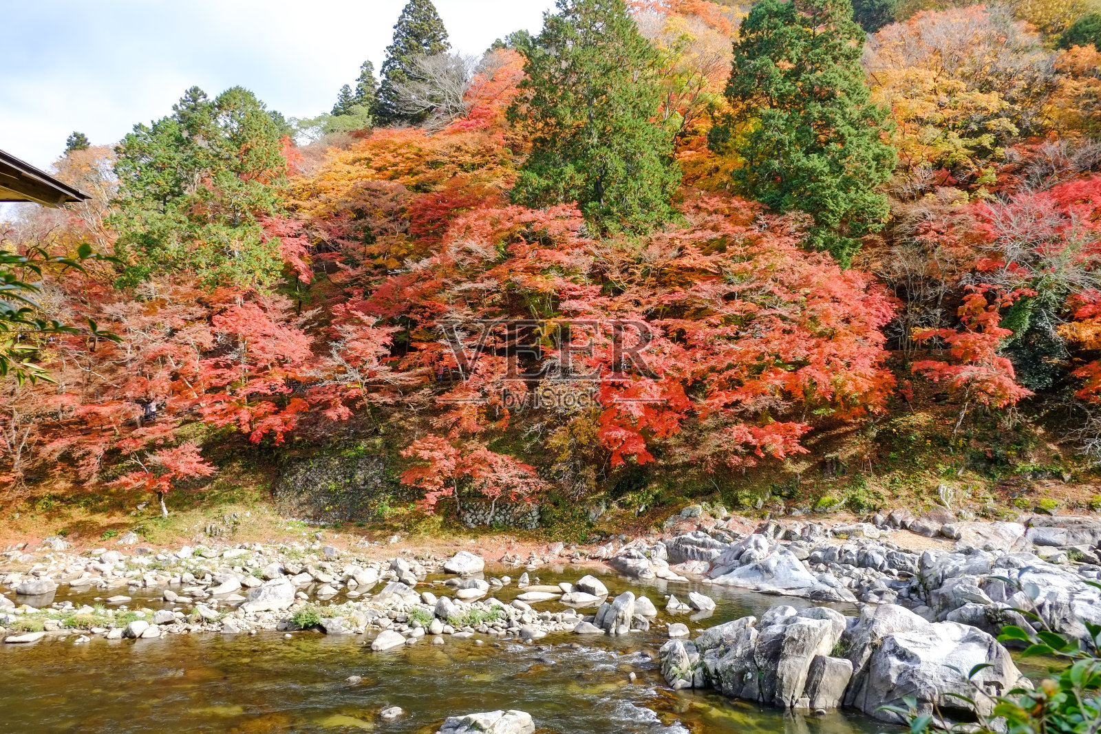 美丽的风景秋天在可兰经，日本照片摄影图片