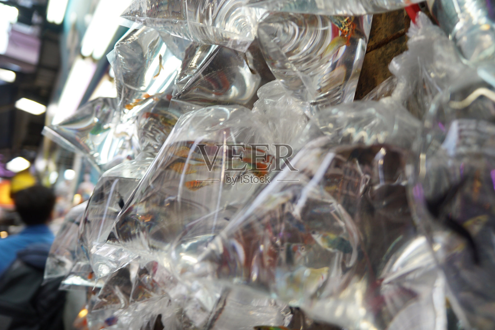 水族街卖袋装金鱼照片摄影图片