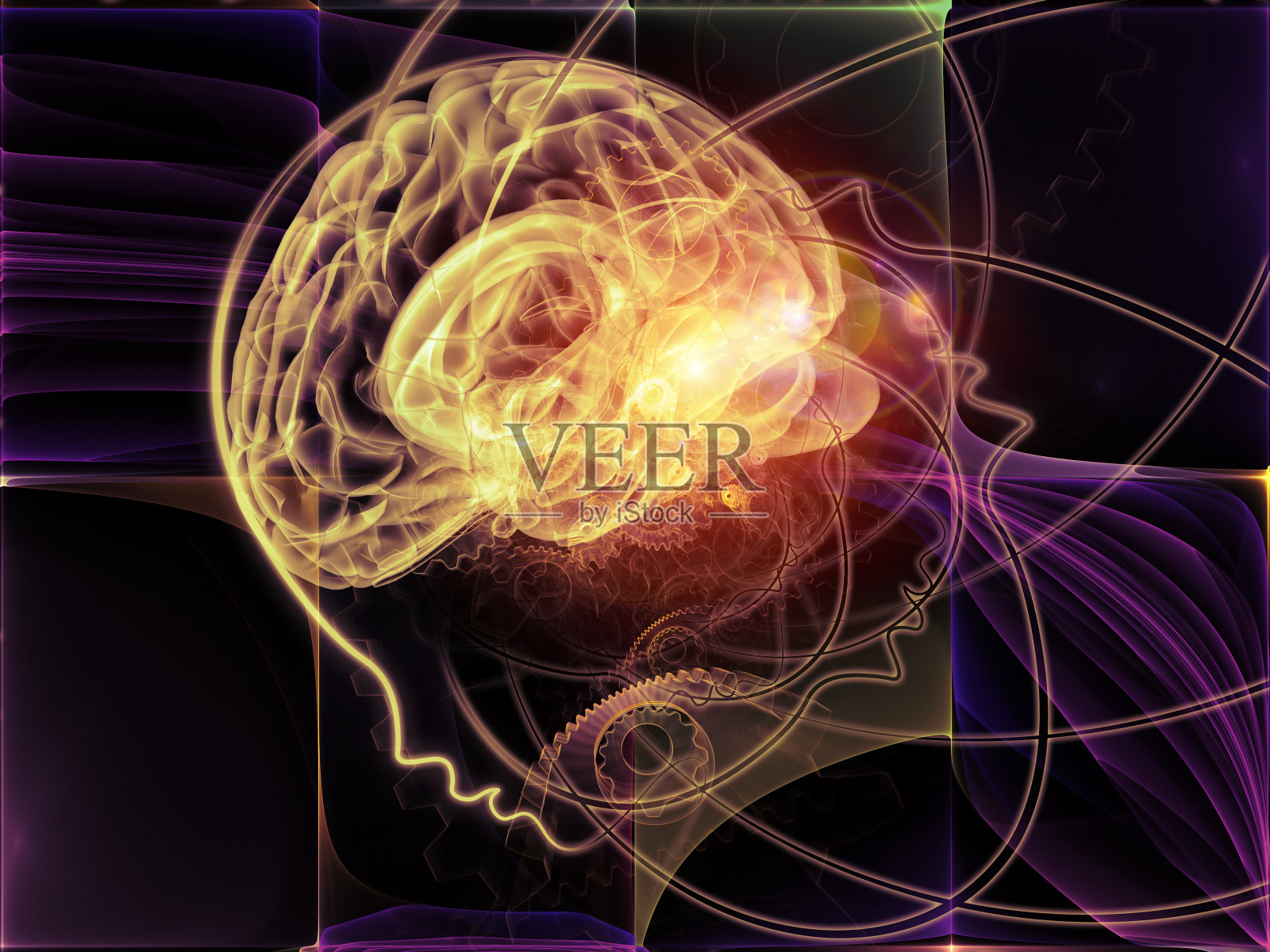 进化思想照片摄影图片