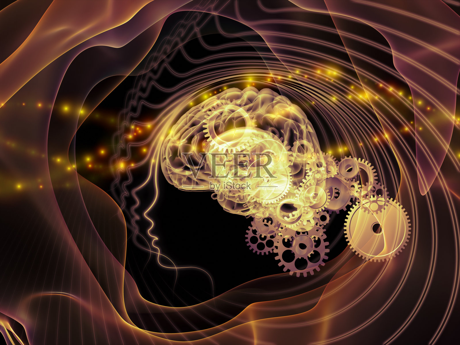 进化思想照片摄影图片