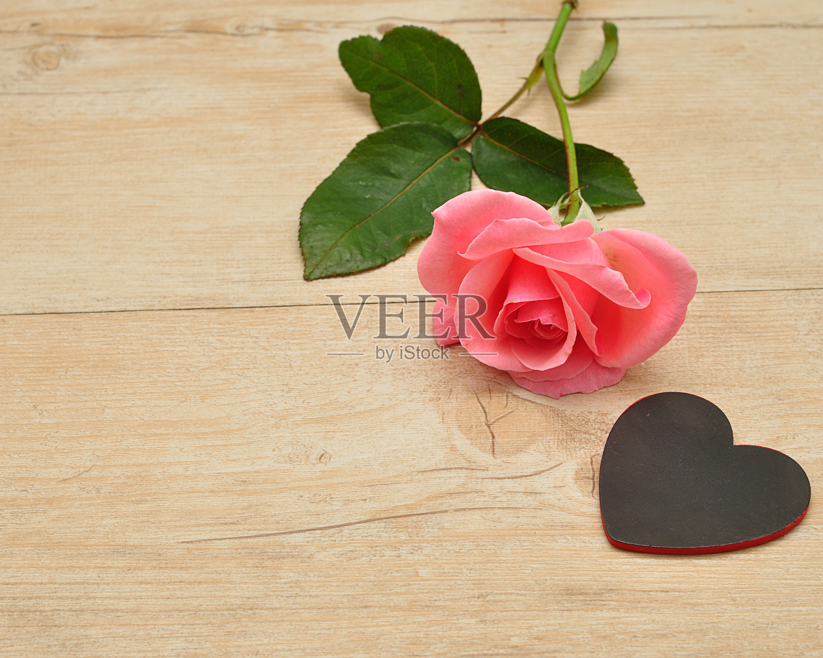 情人节。一朵粉红的玫瑰和一颗黑色的心照片摄影图片