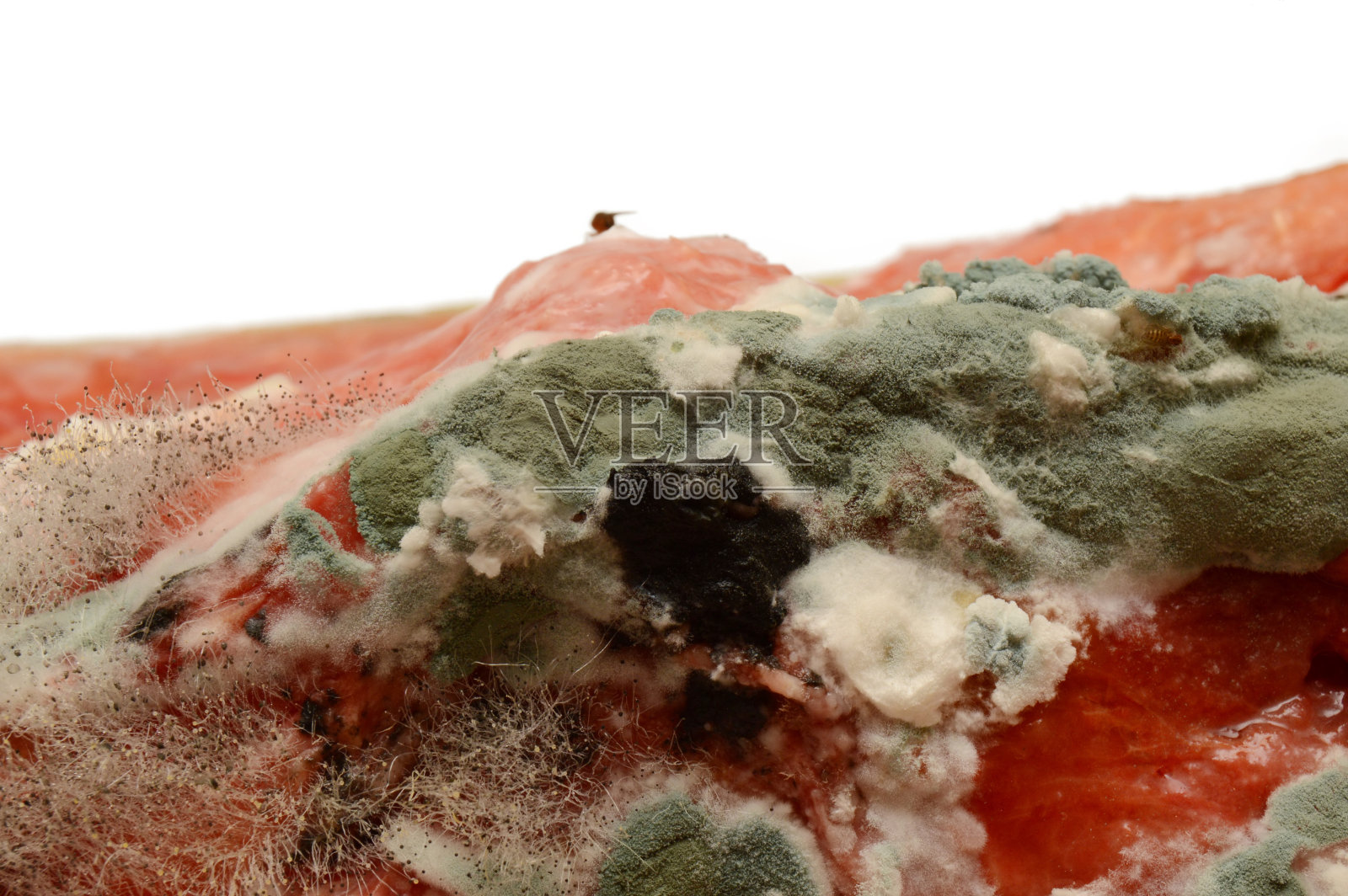 腐烂的西瓜照片摄影图片