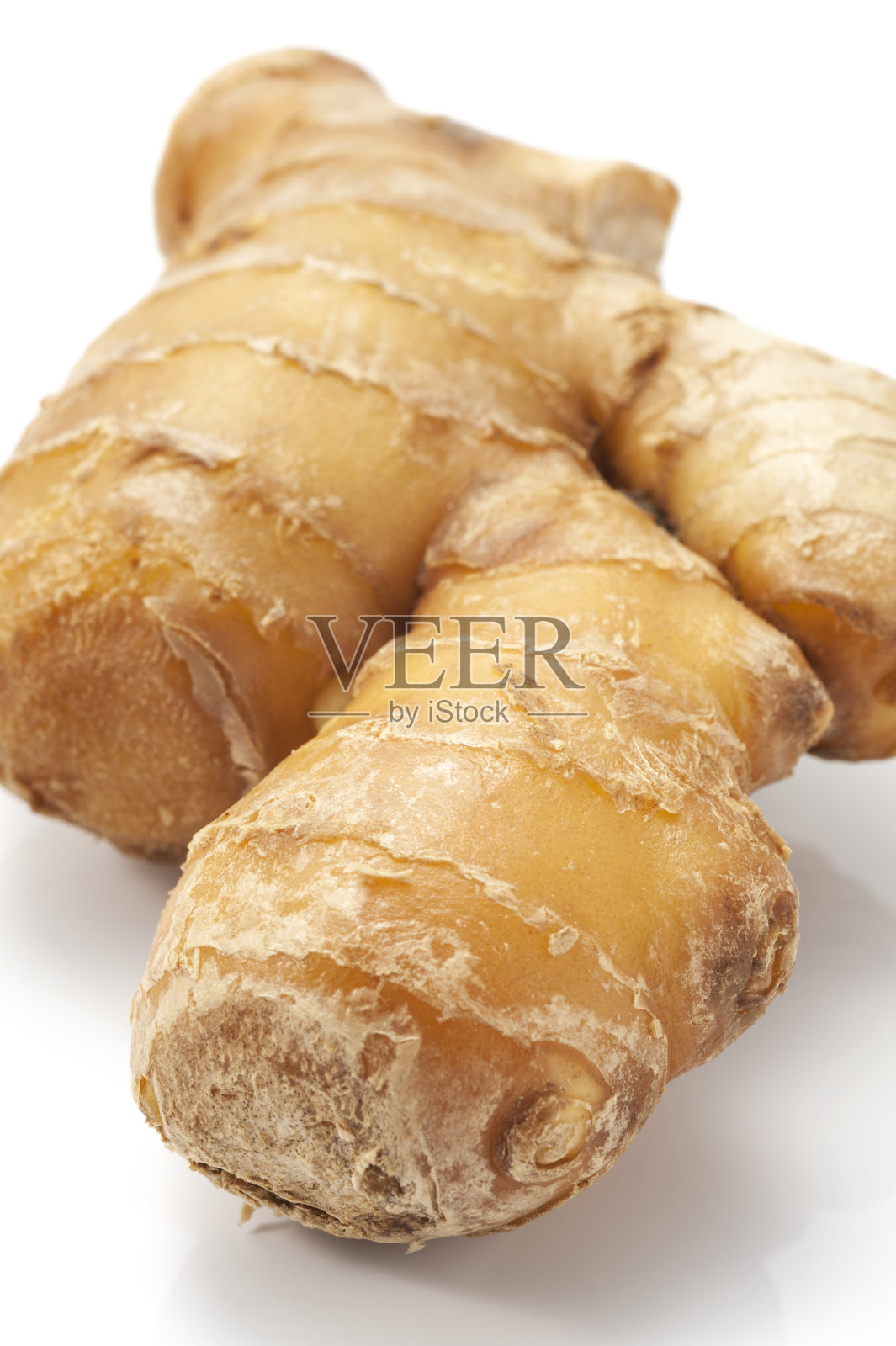 白色背景上的新鲜姜照片摄影图片